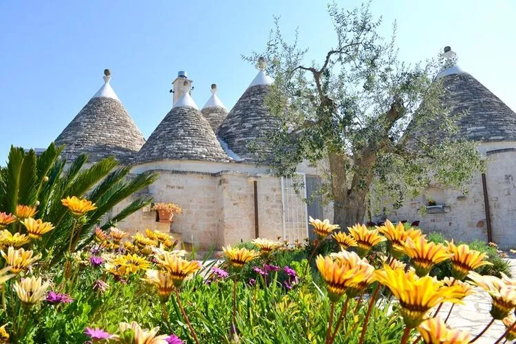 Holiday home Cisternino-Trullo Ulivo Antico