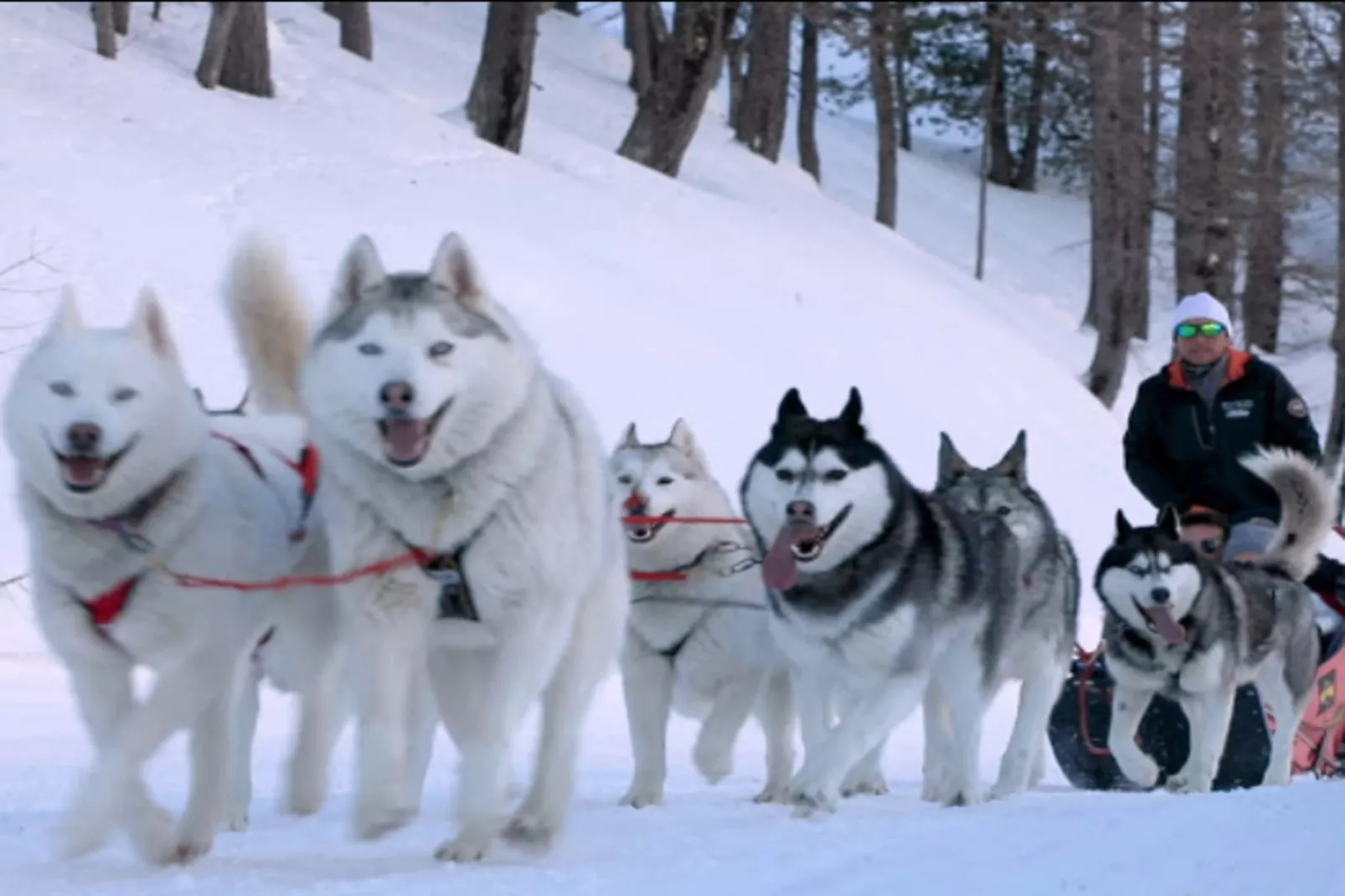 Résidence Génépi 301-Gebied winter 5km