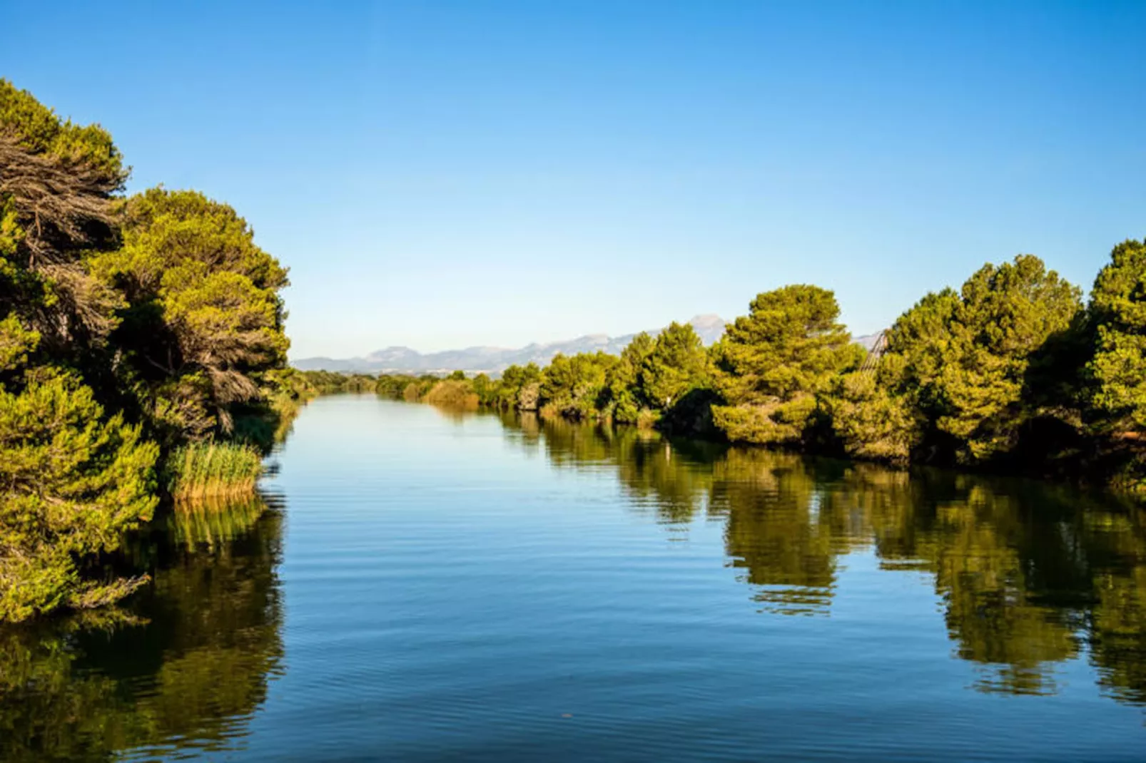 Maison à Son Serra de Marina-Image-tags.