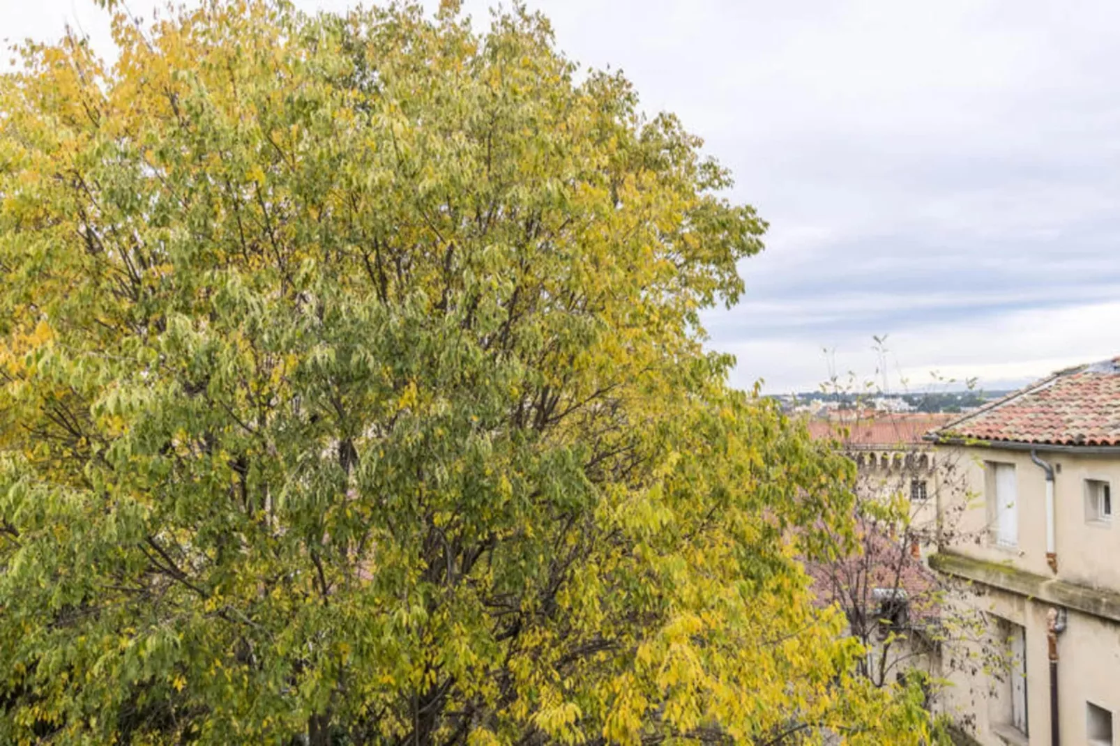 Appartements à Montpellier-Uitzicht zomer