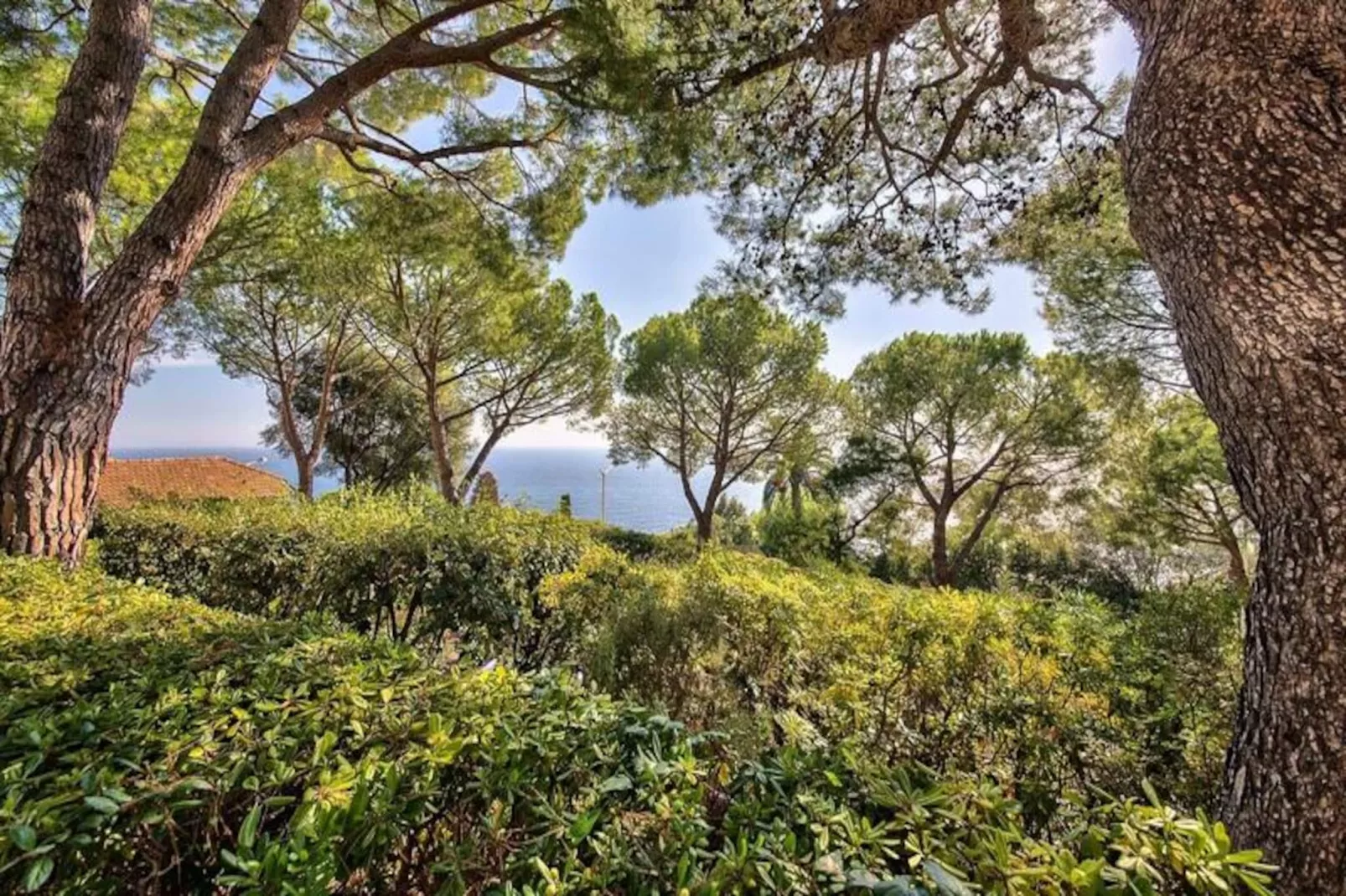 06a5 Superb Appartement Vue Spectactulaire Mtboron-Image-tags.