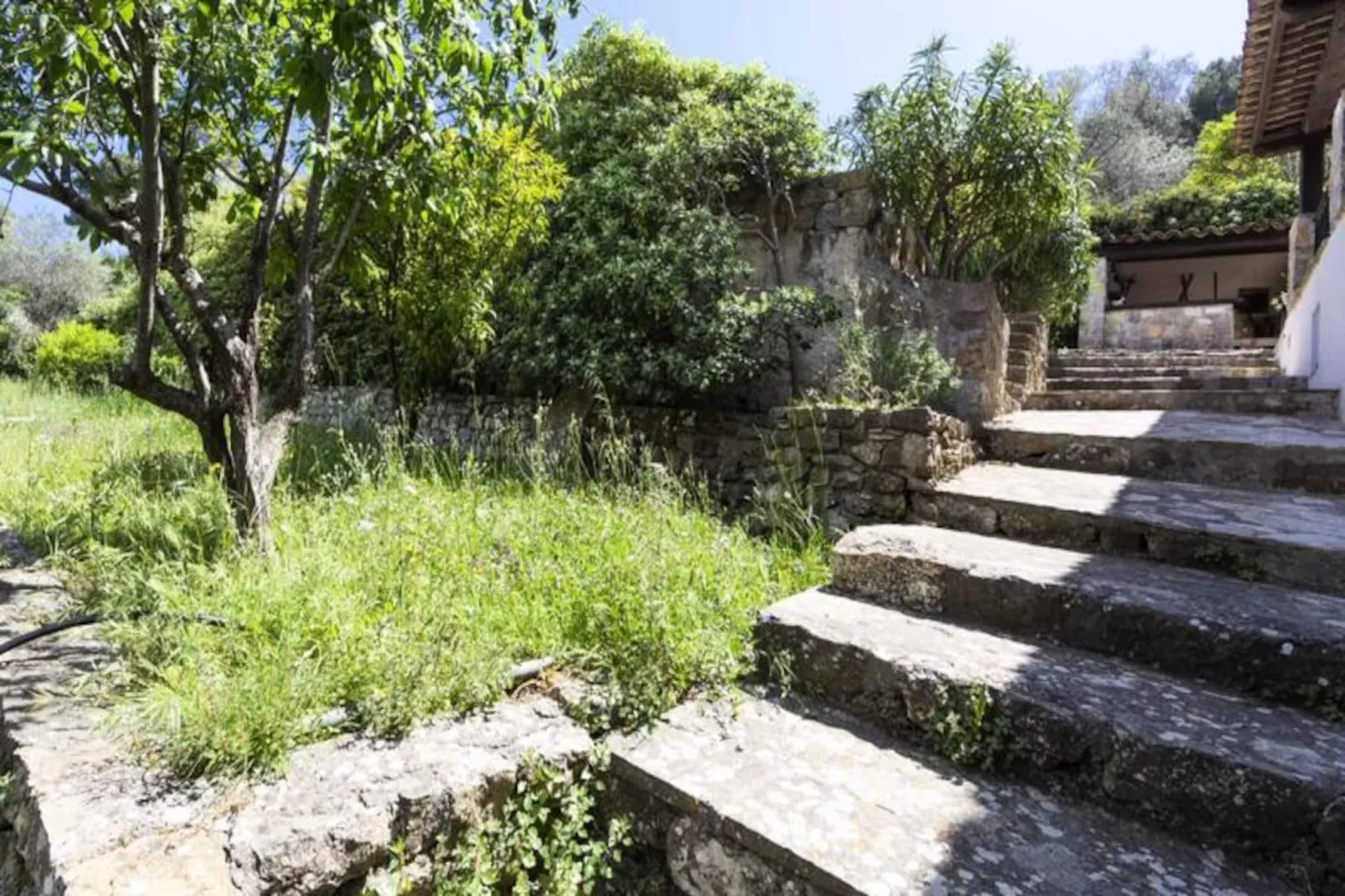 Résidence Grande Villa Proven&ccedil;ale Piscine Dans Un &eacute;crin De Verdure ❤live In Cannes❤