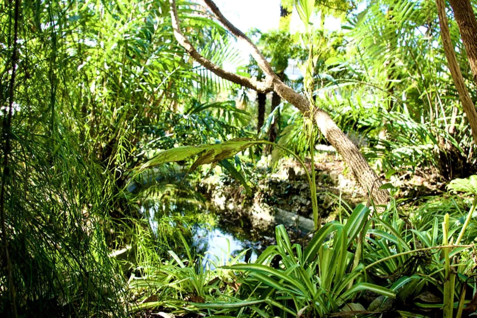 Résidence We &hearts; Cannes !  R&eacute;sidence Gallia , Appartement 2 Chambres Haut De Gamme-Sfeer