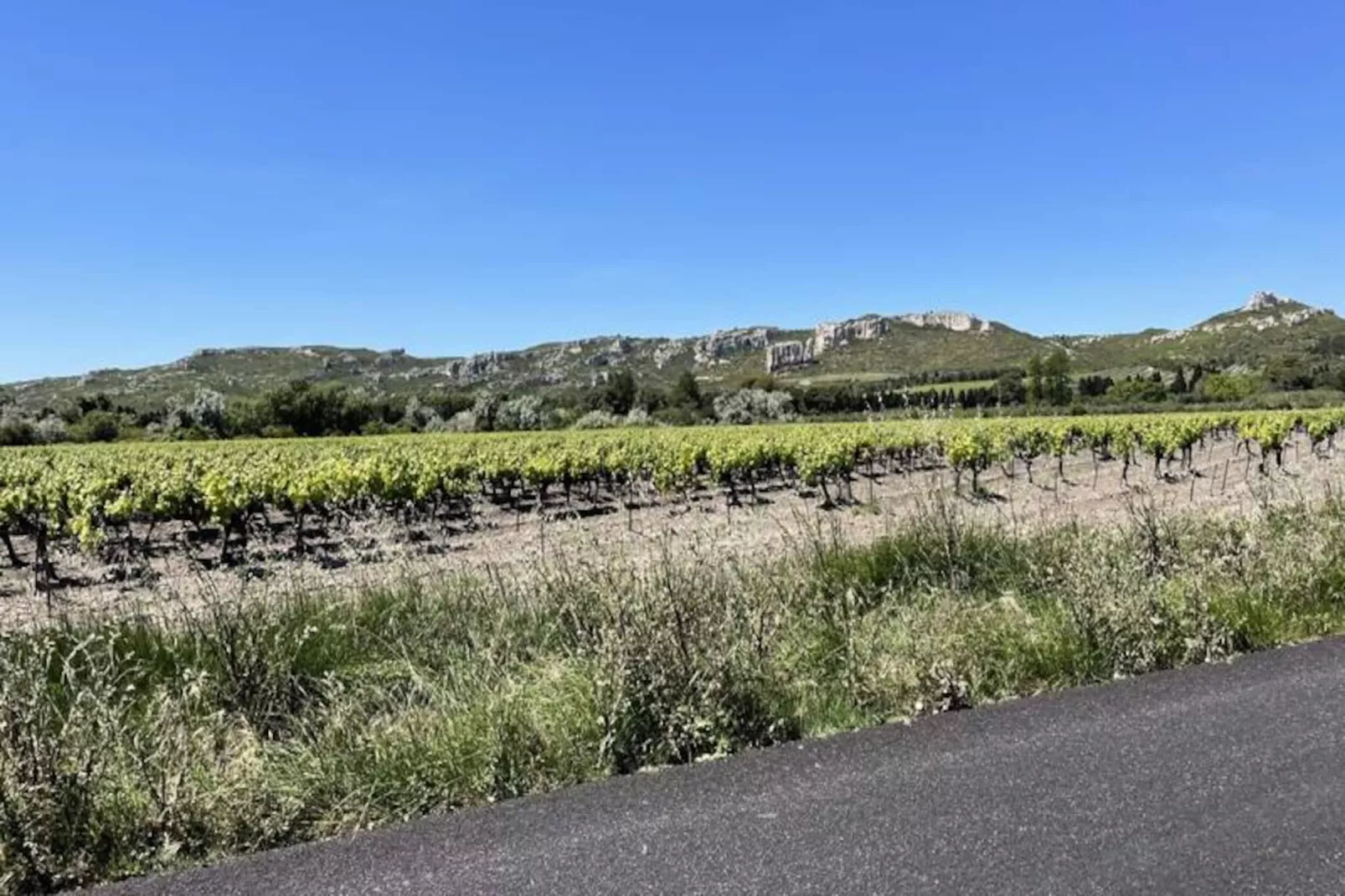 Belle Villa Contemporaine, Piscine Et Grand Jardin-Image-tags.