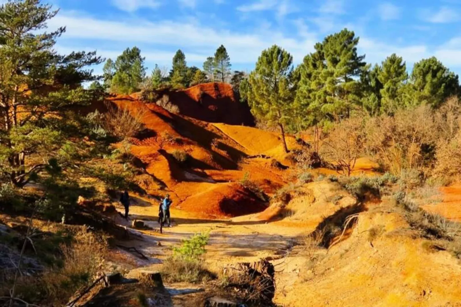 Mas La Miellerie | Charme Authentique Et Nature-Image-tags.