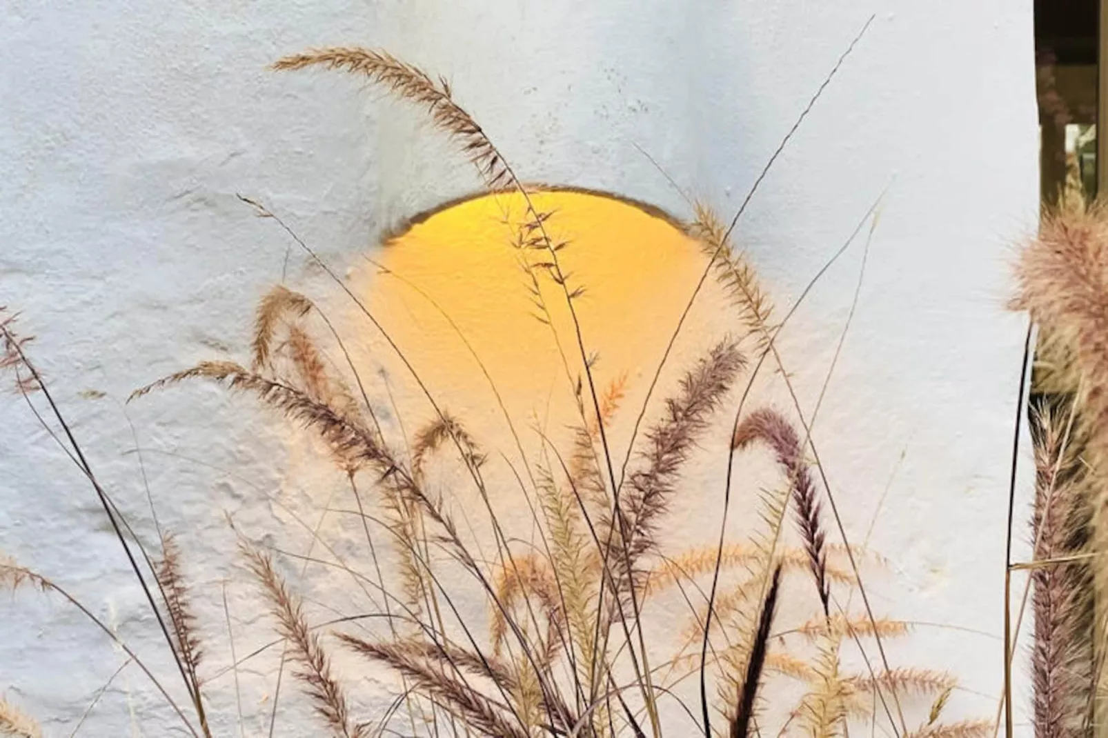 Maison à Sant Climent-Image-tags.