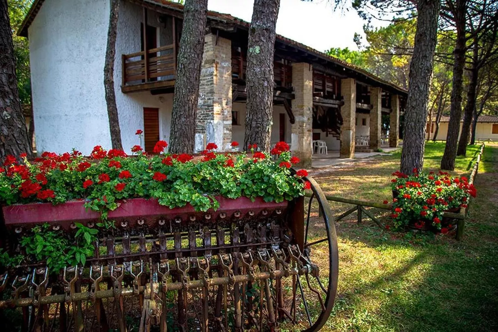 Holiday resort Belvedere, Grado-Pinus