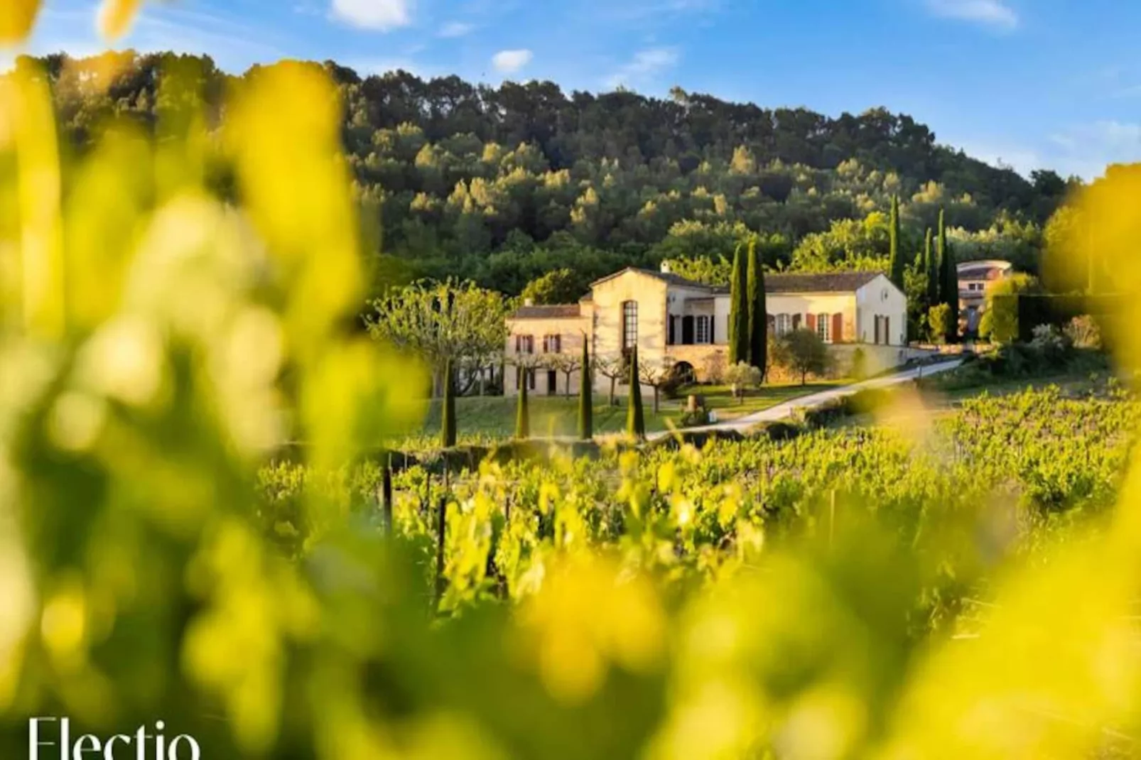 Grande Bastide | Domaine Tour Campanets