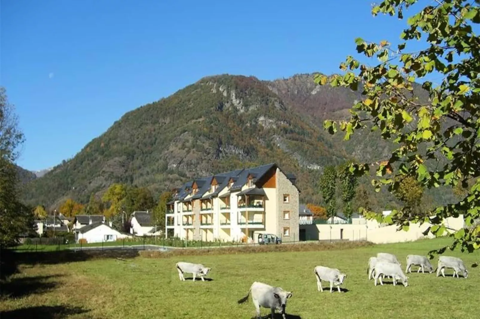 Résidence Balcons Du Golf
