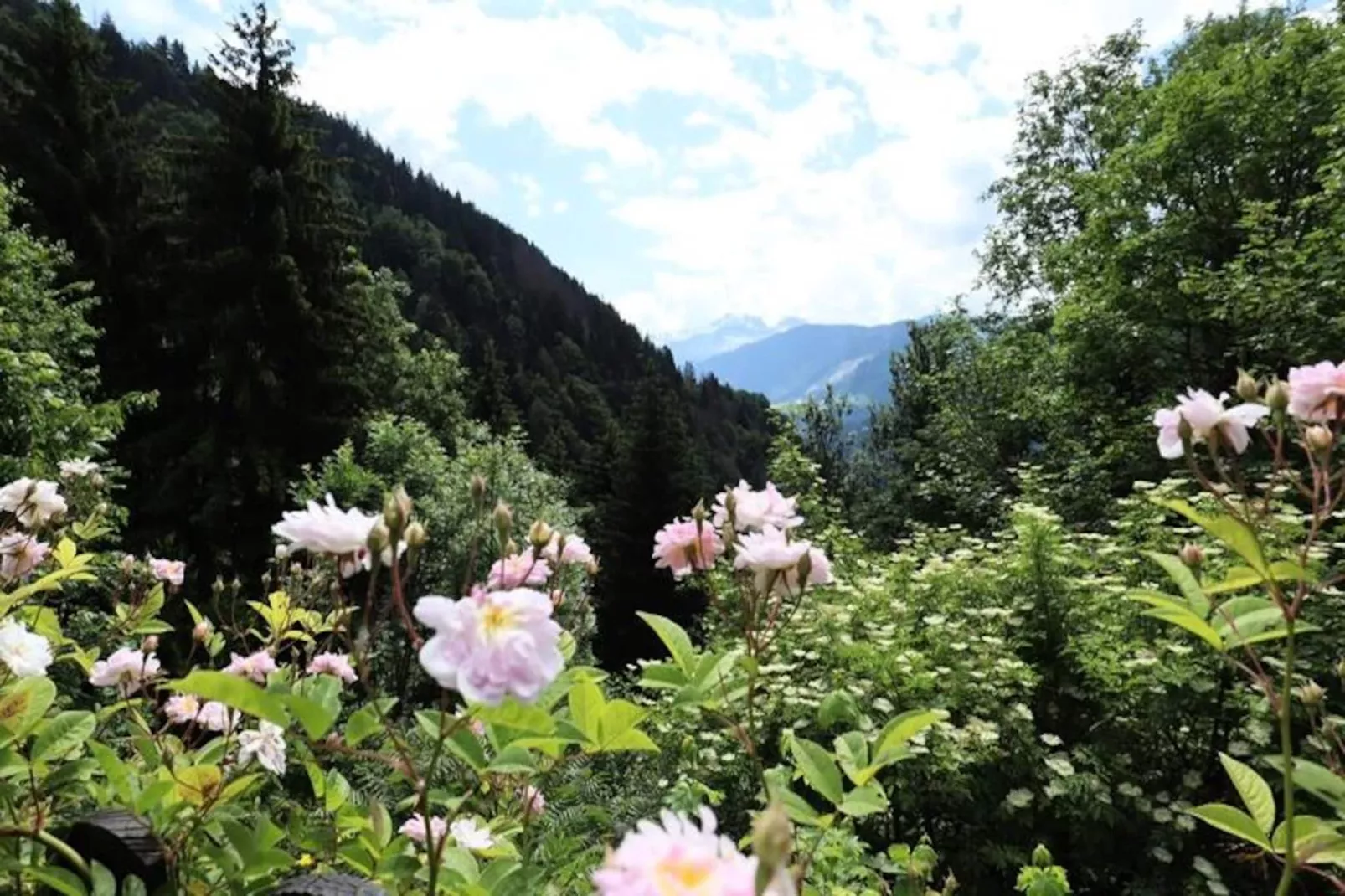 Chalet La Cordillere