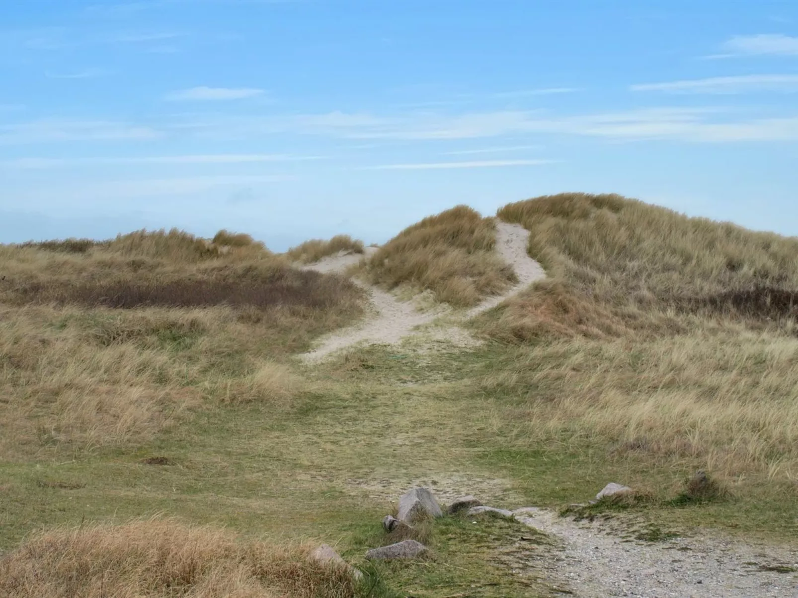 "Odeta" - 50m from the sea