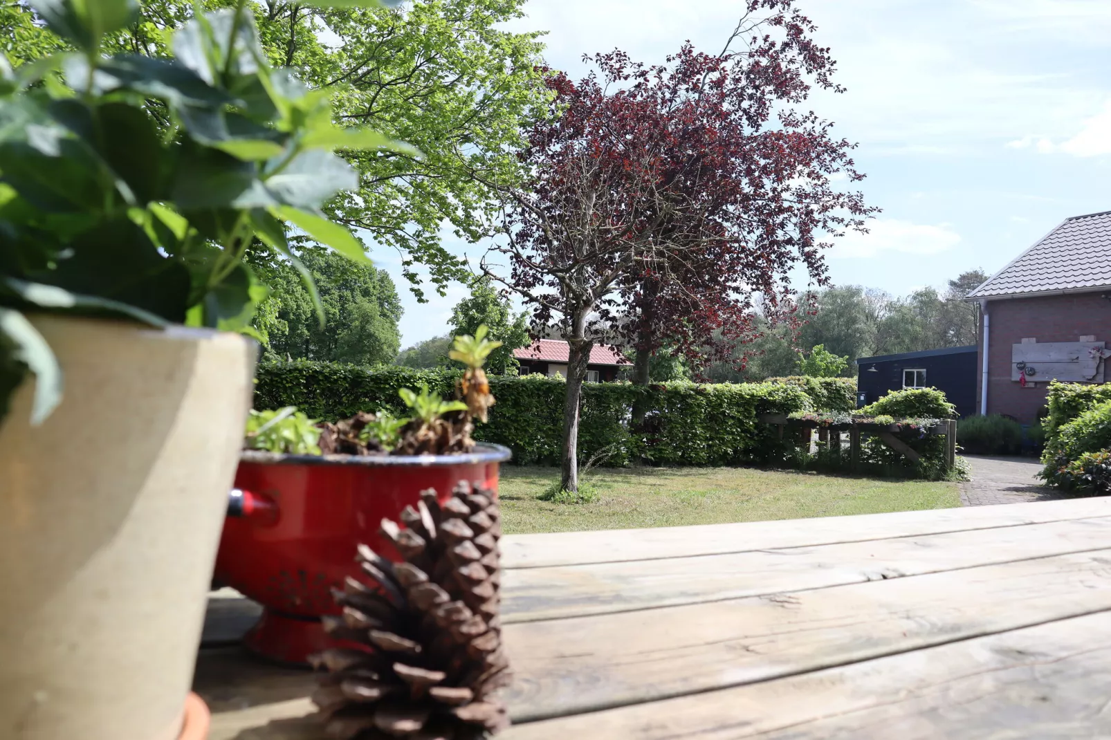 Op de Beemd-Uitzicht zomer