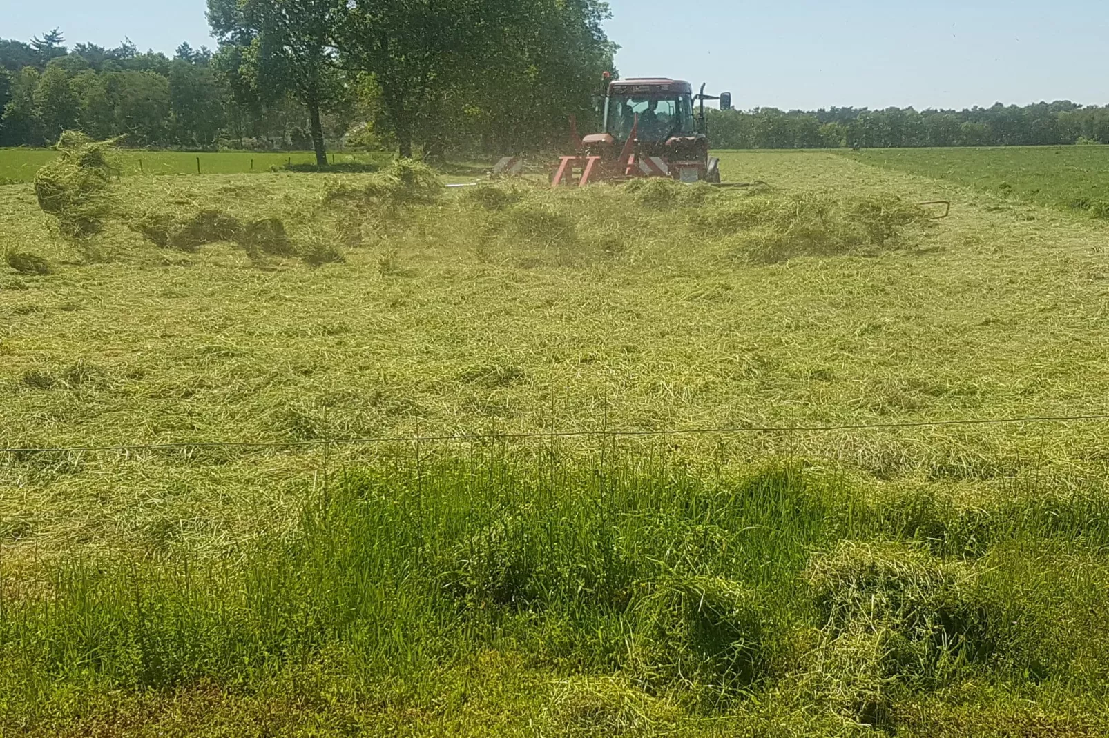 Op de Beemd-Gebieden zomer 1km