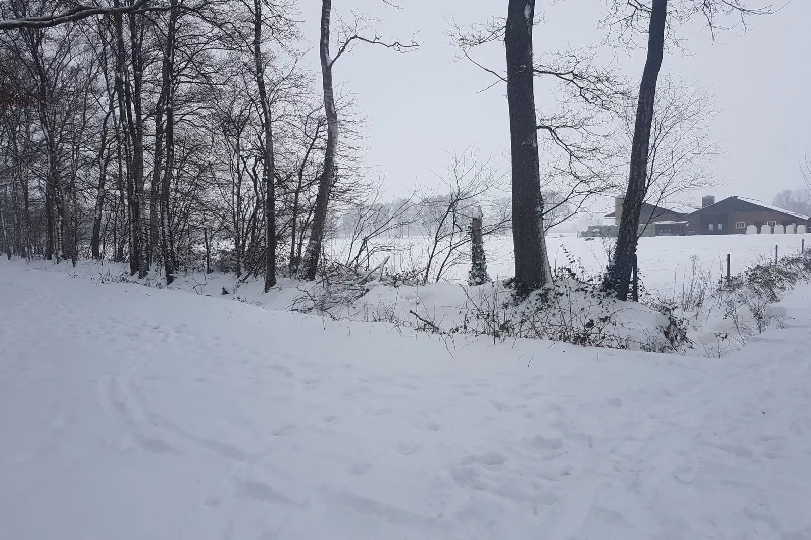 Op de Beemd-Gebied winter 1km