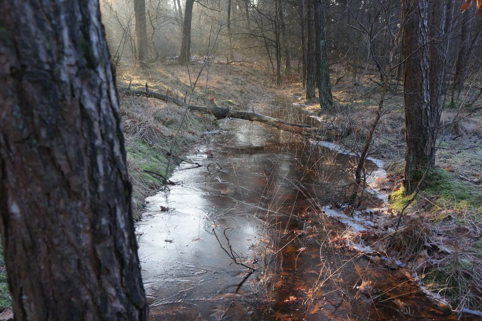 Op de Beemd-Gebied winter 1km