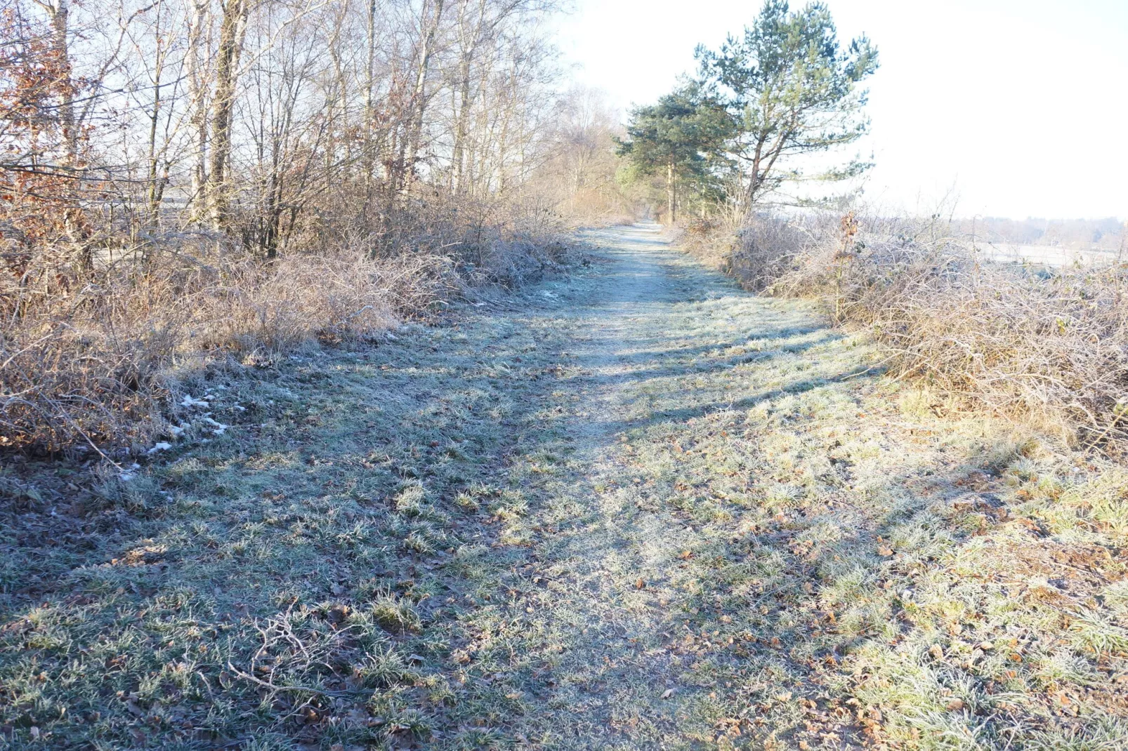 Op de Beemd-Gebied winter 1km