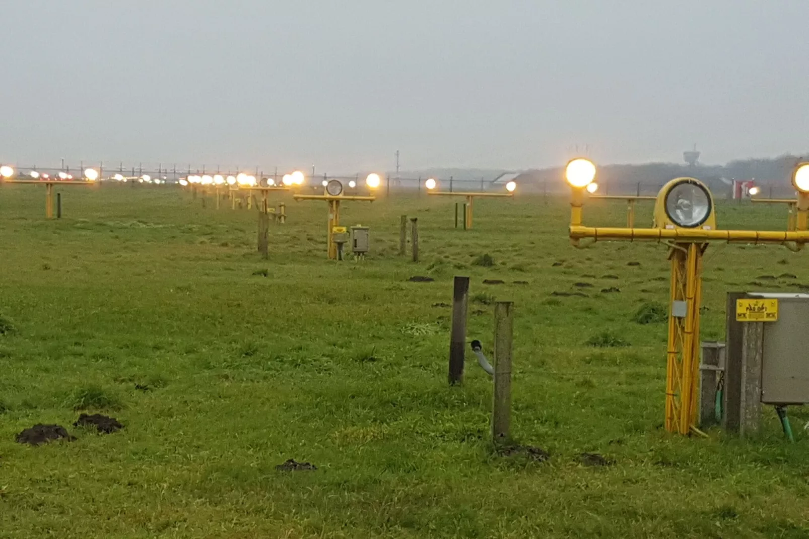 Op de Beemd-Gebieden zomer 5km