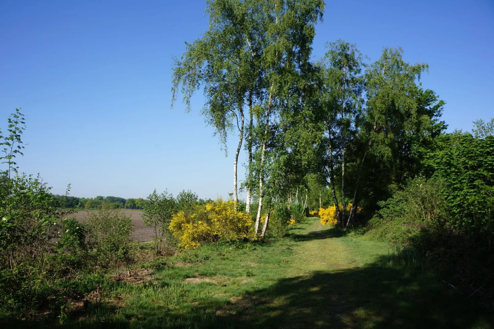 Op de Beemd-Gebieden zomer 5km