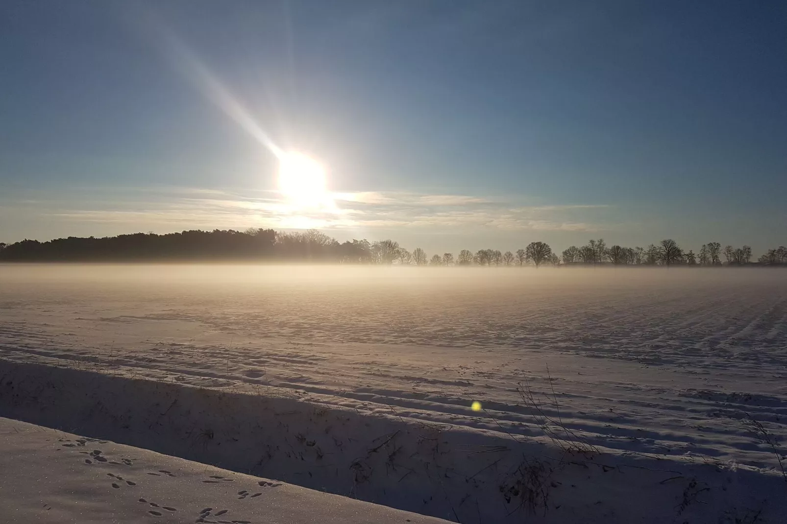 Op de Beemd-Gebied winter 5km