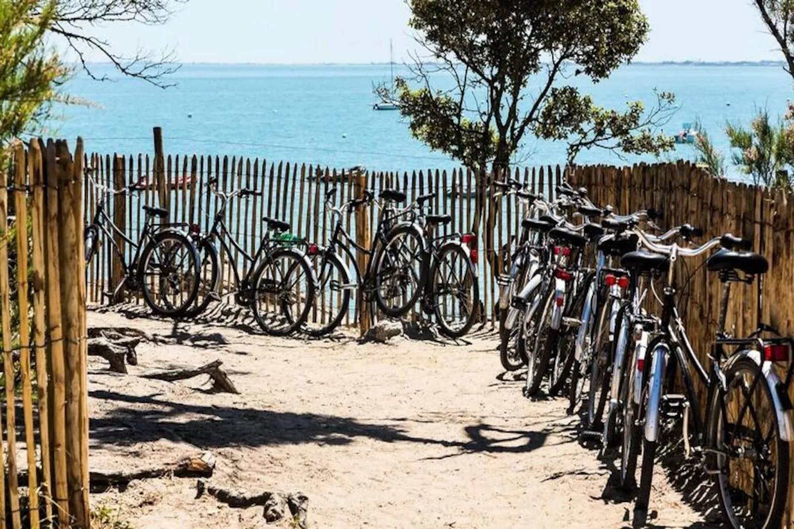 Résidence Prestige Odalys Le Domaine des Pins