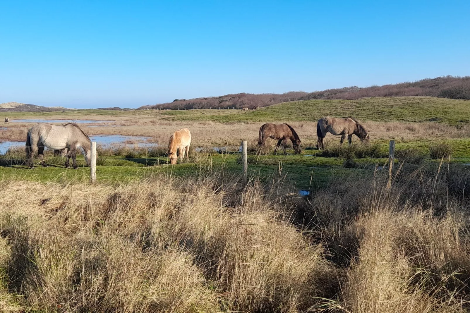 Good Moments Oostkapelle Zeeland-Gebieden zomer 1km