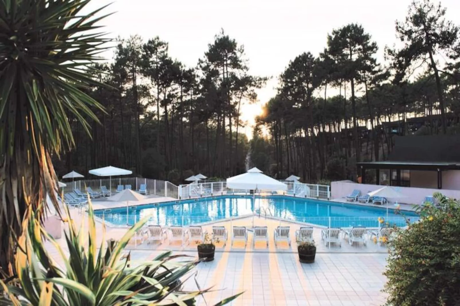 Résidence Domaine Les Cavales-Image-tags.