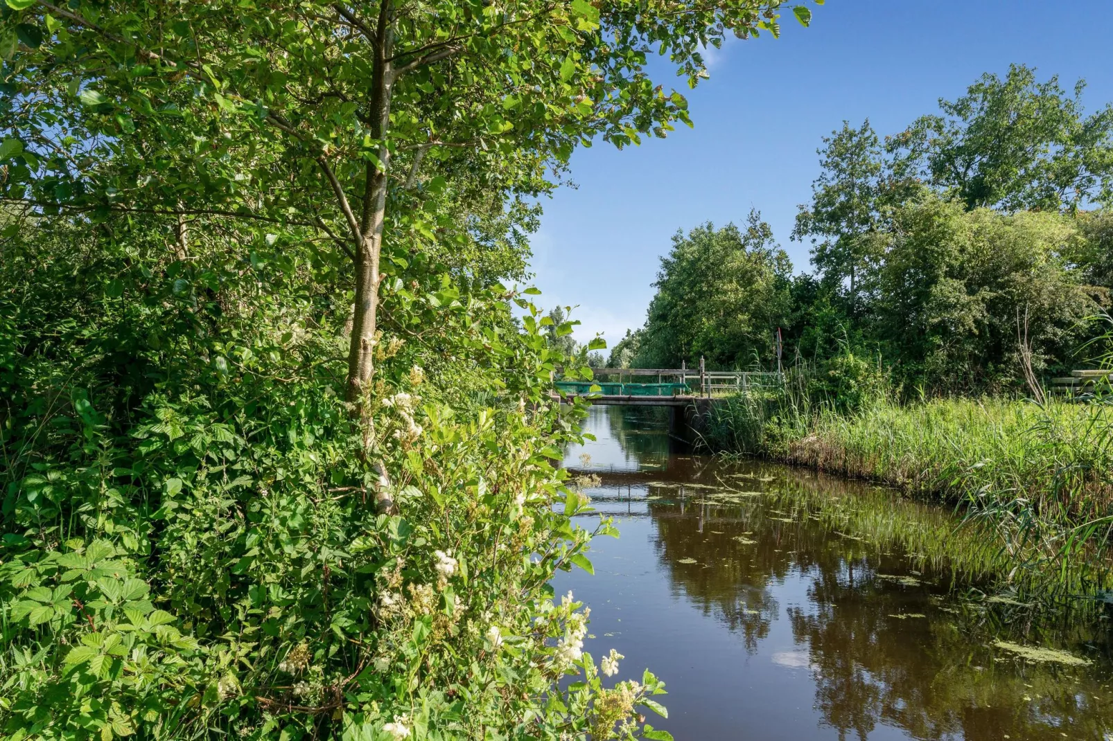 Boerderij Koatstertille-Uitzicht zomer