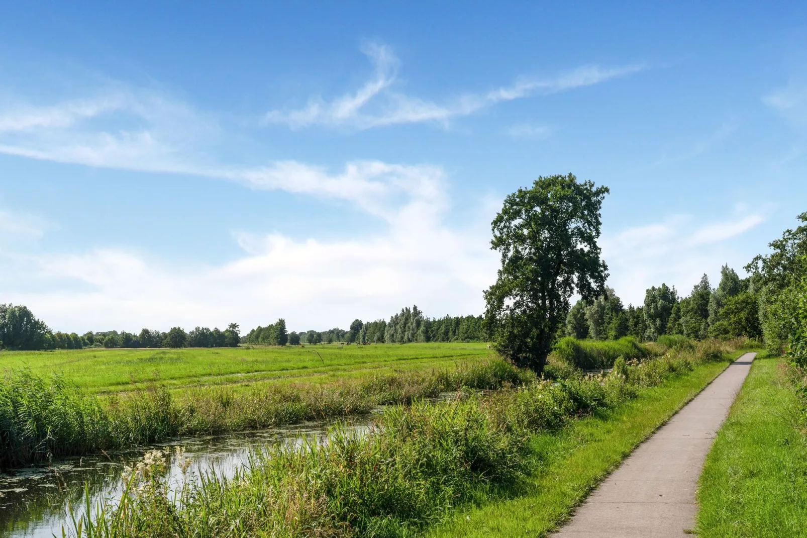 Boerderij Koatstertille-Gebieden zomer 1km