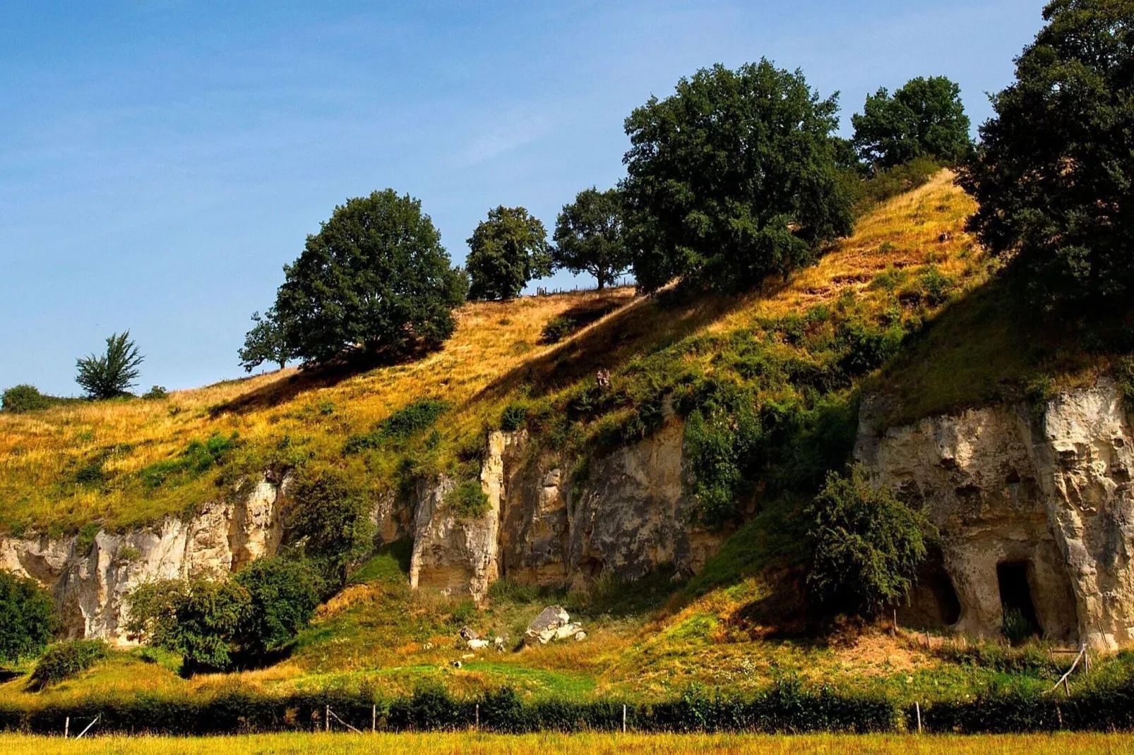 Herenhoeve de Bockhof-Gebieden zomer 5km