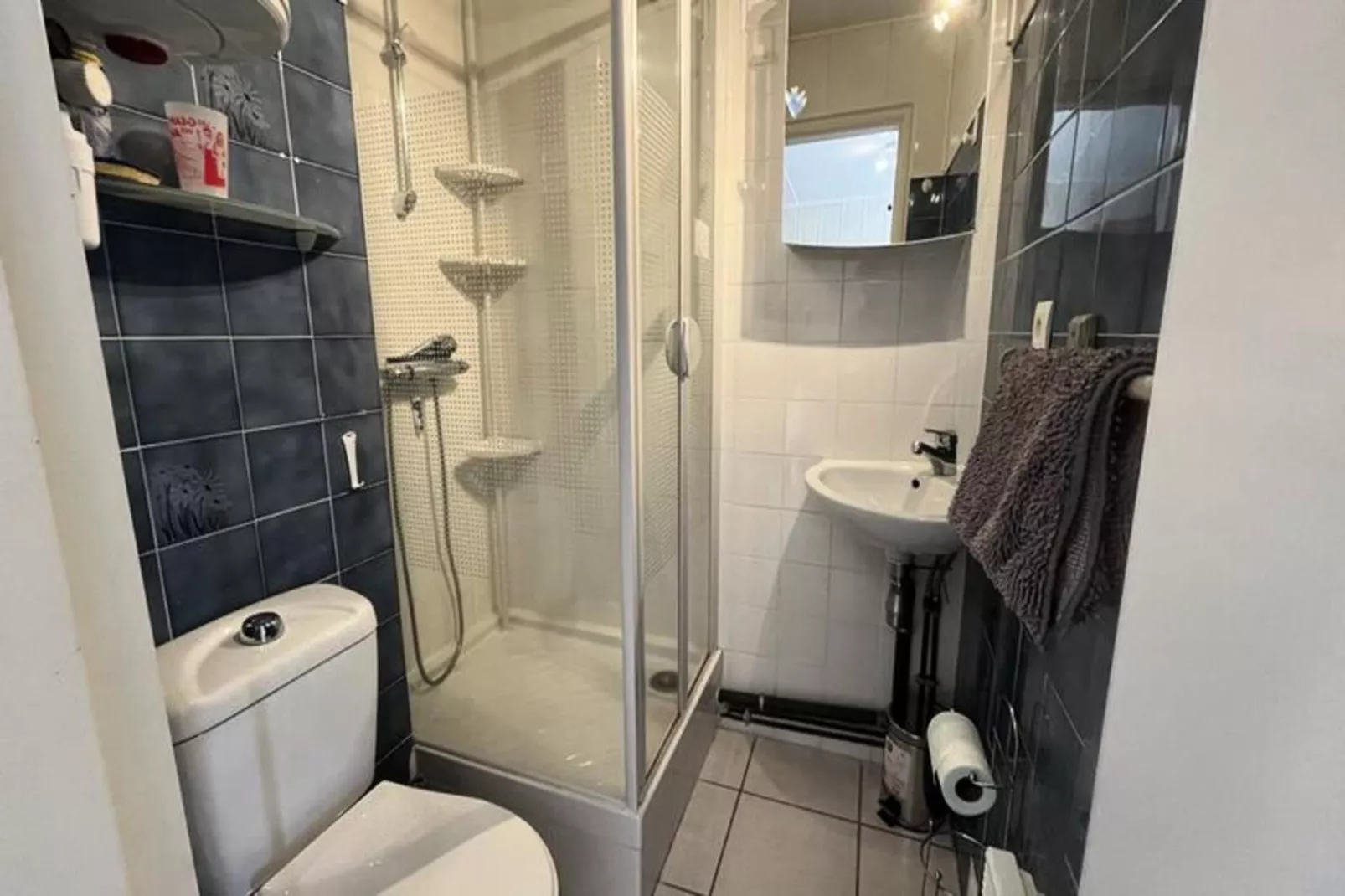 Résidence Le Grand Tétras-Buitenkant zomer