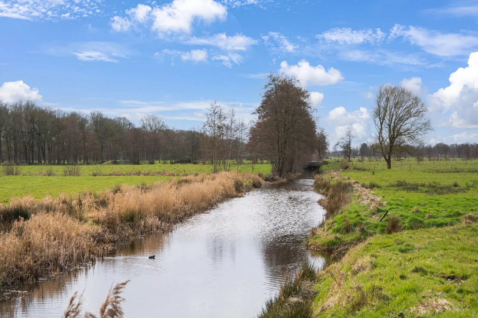 B&B de Folgeren-Gebieden zomer 5km