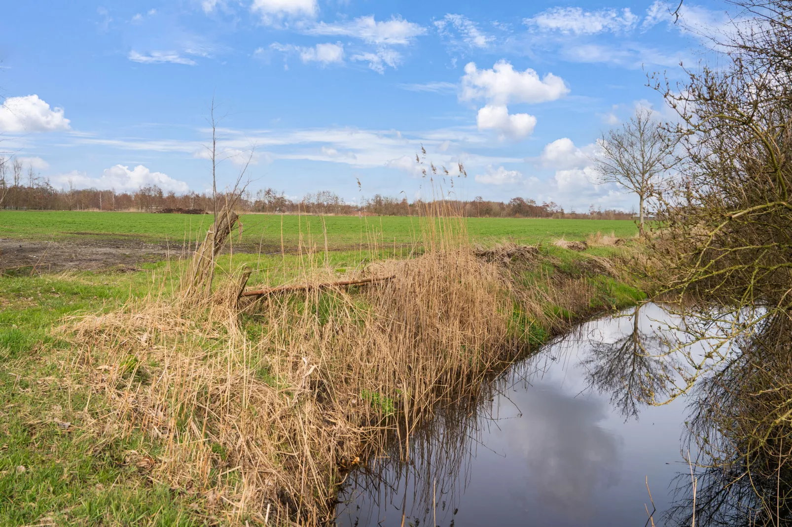 B&B de Folgeren-Gebieden zomer 5km