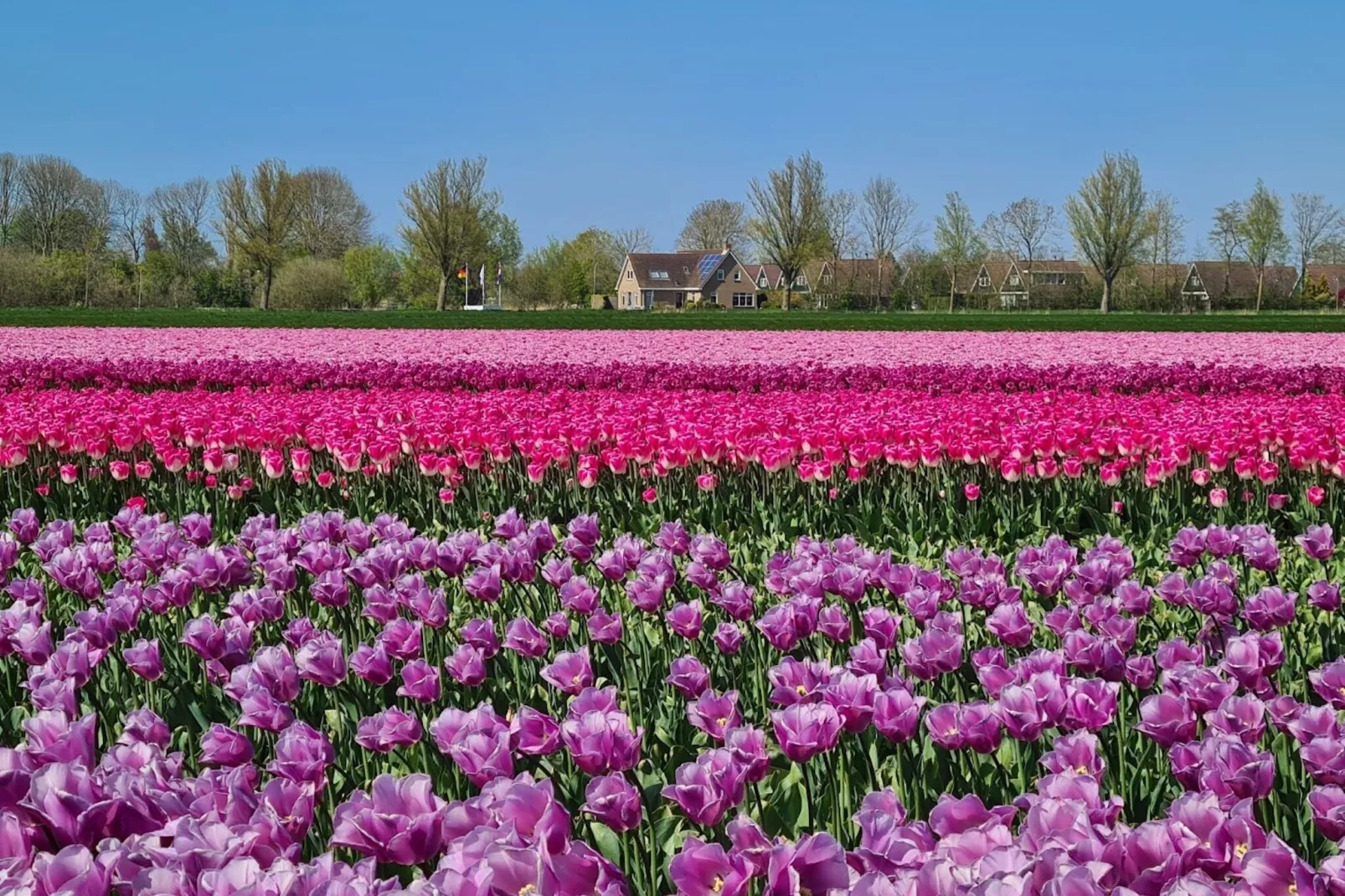 Recreatiepark de Wielen 1-Gebieden zomer 5km