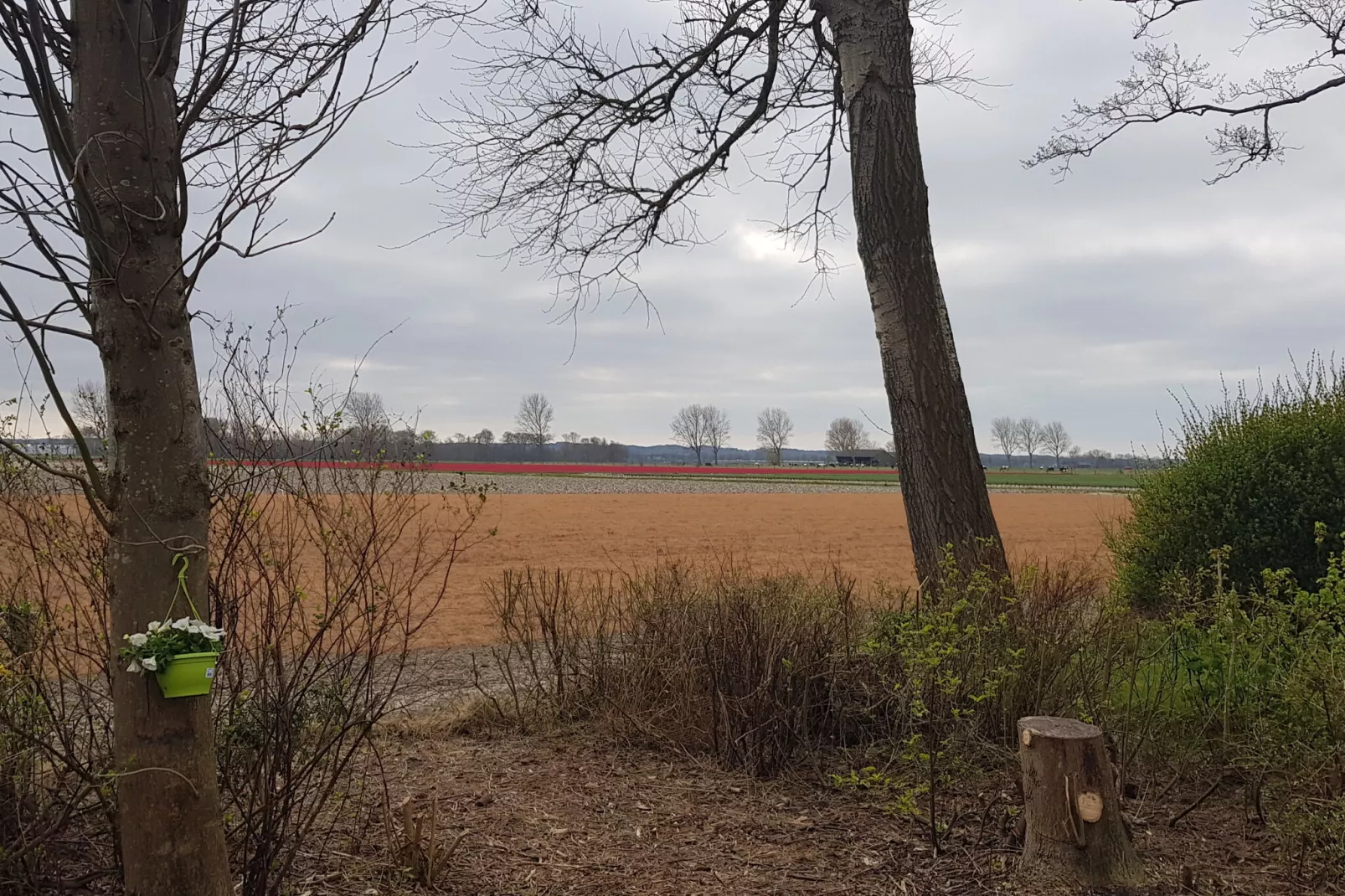 Vakantiehuis De Weide Blick-Uitzicht zomer