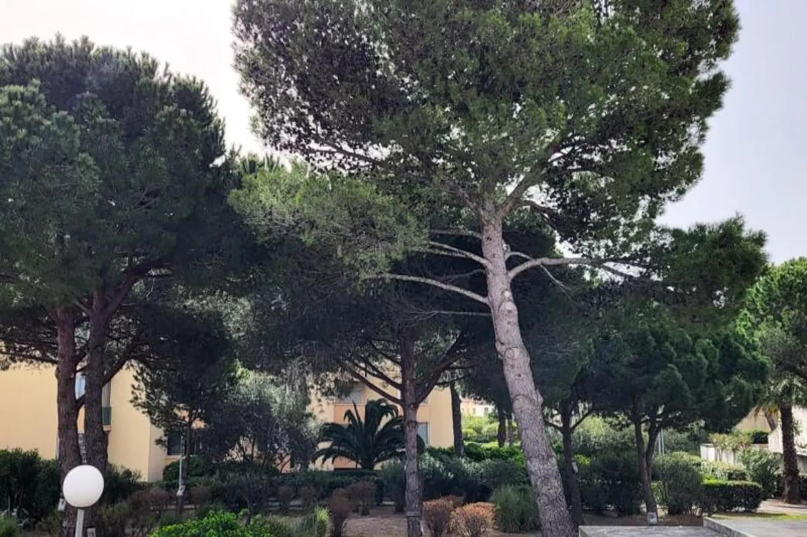 Résidence La Cigale De Mer &agrave; 100 M De La Plage Et Du Centre Ville Du Grau Du Roi-Uitzicht zomer