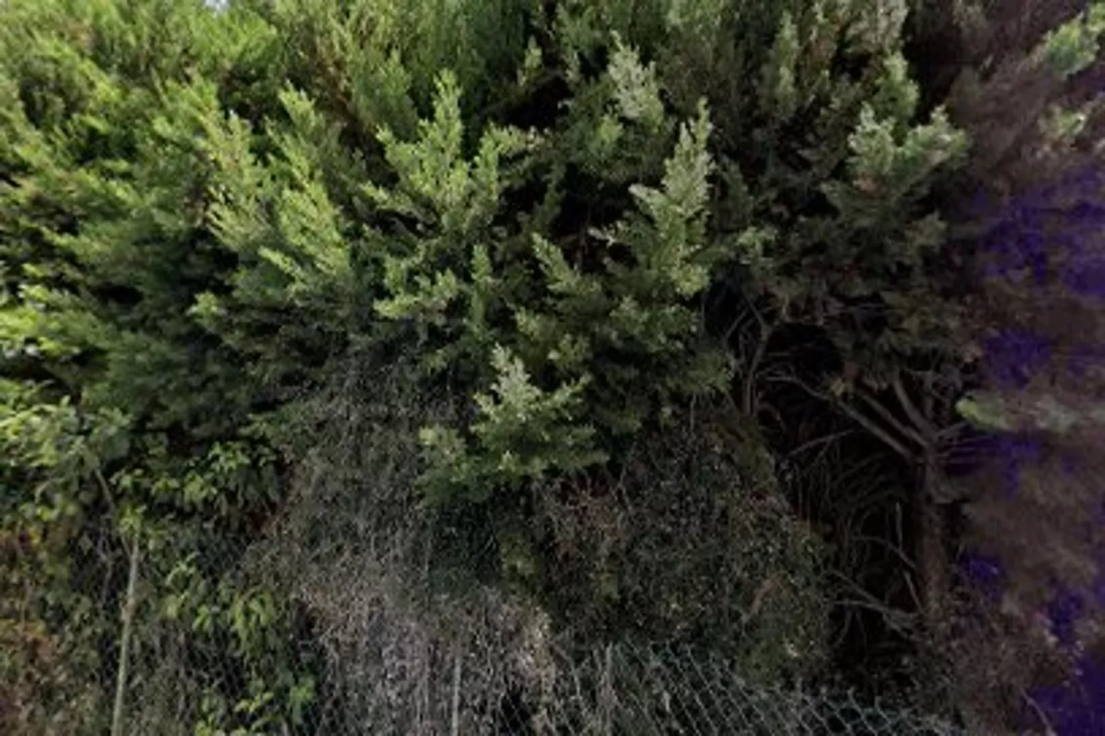 Charmant Et Rayonnant Appartement De 55 M&sup2; Situ&eacute; Dans Le Coeur De Bordeaux-Buitenkant zomer