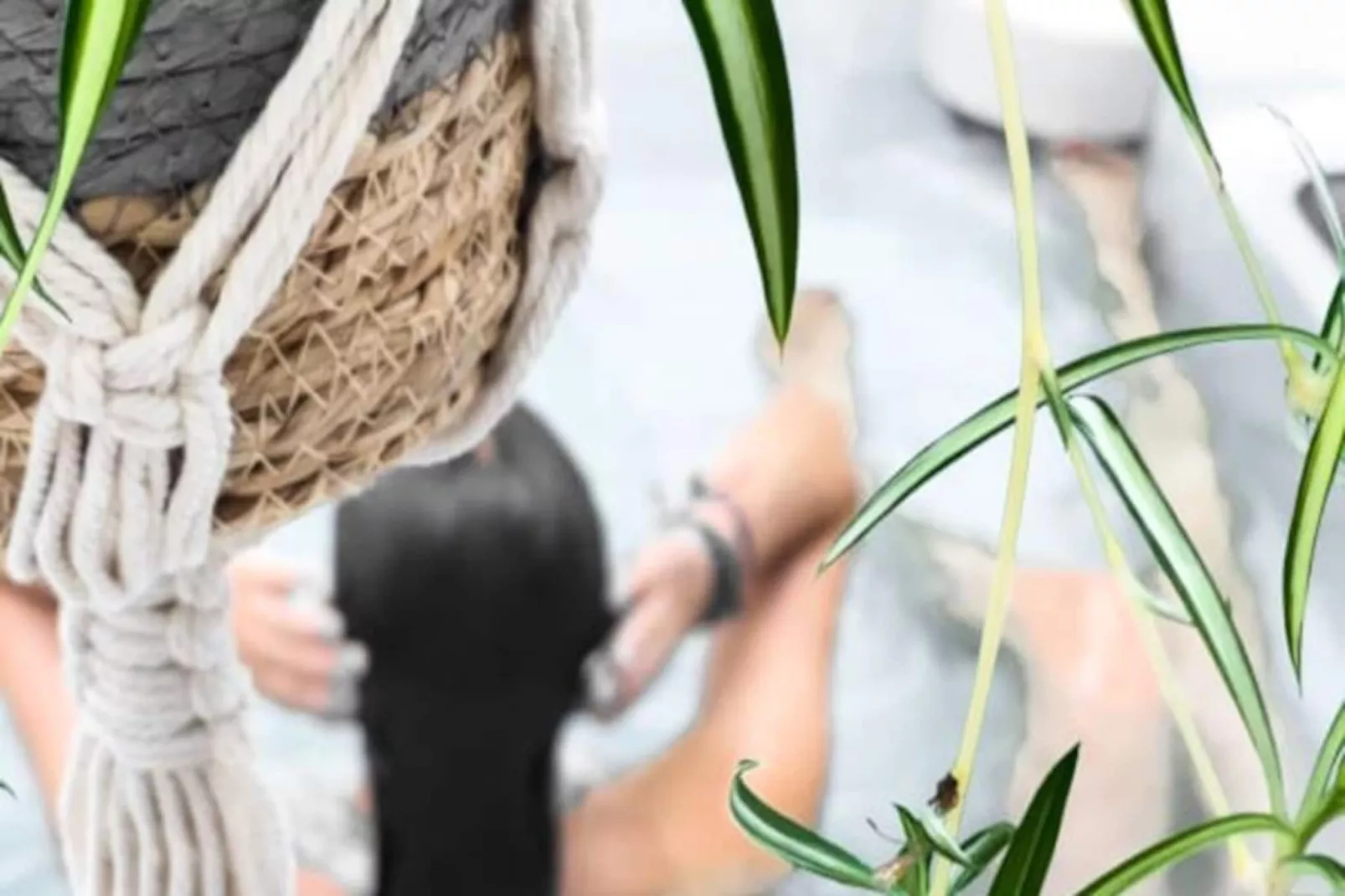 Maison R&eacute;gent & Spa - En Haut De L'escalier-Image-tags.