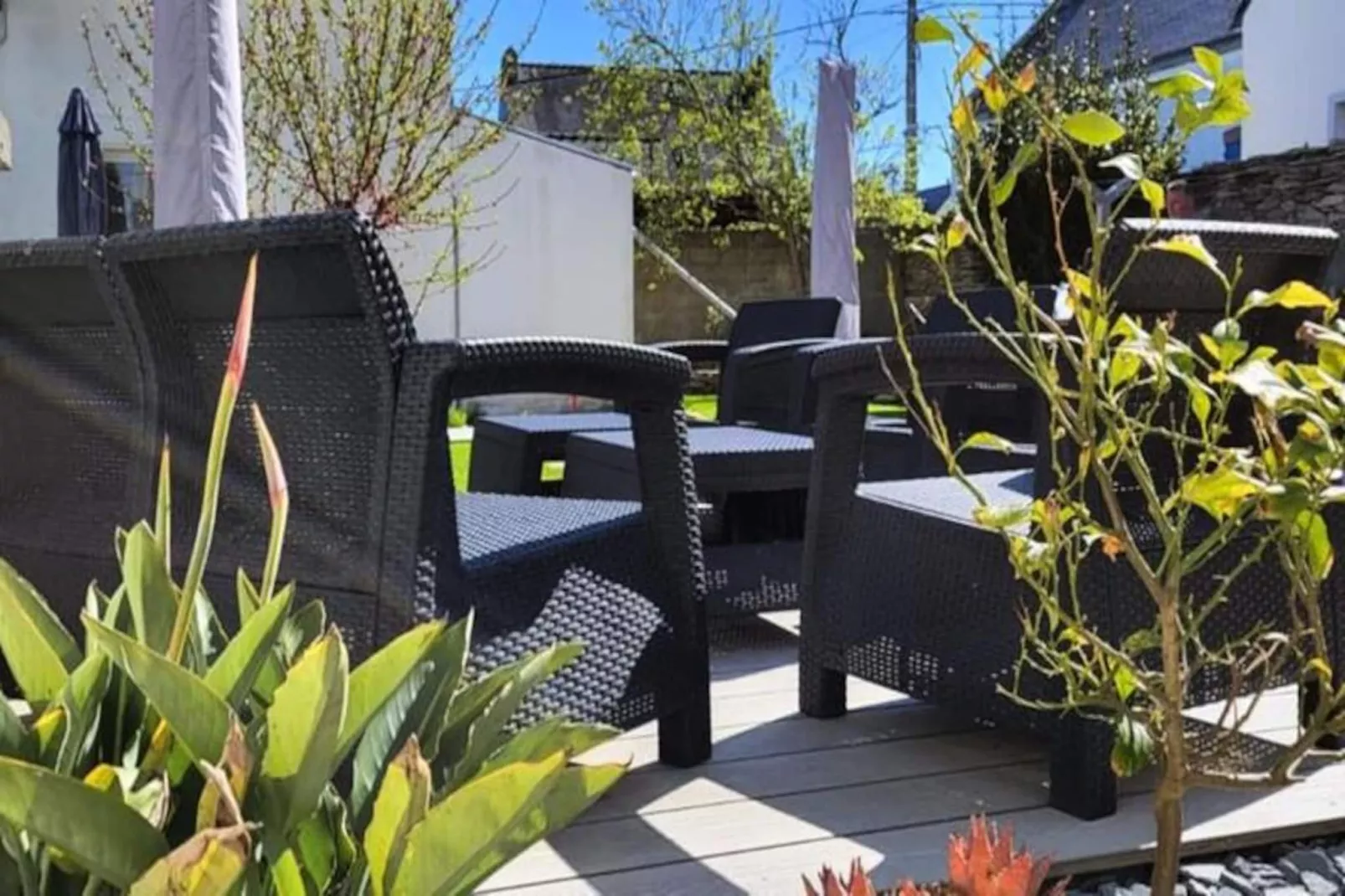 Résidence Maison Les Figuiers Roch Priol Classement 2*-Image-tags.