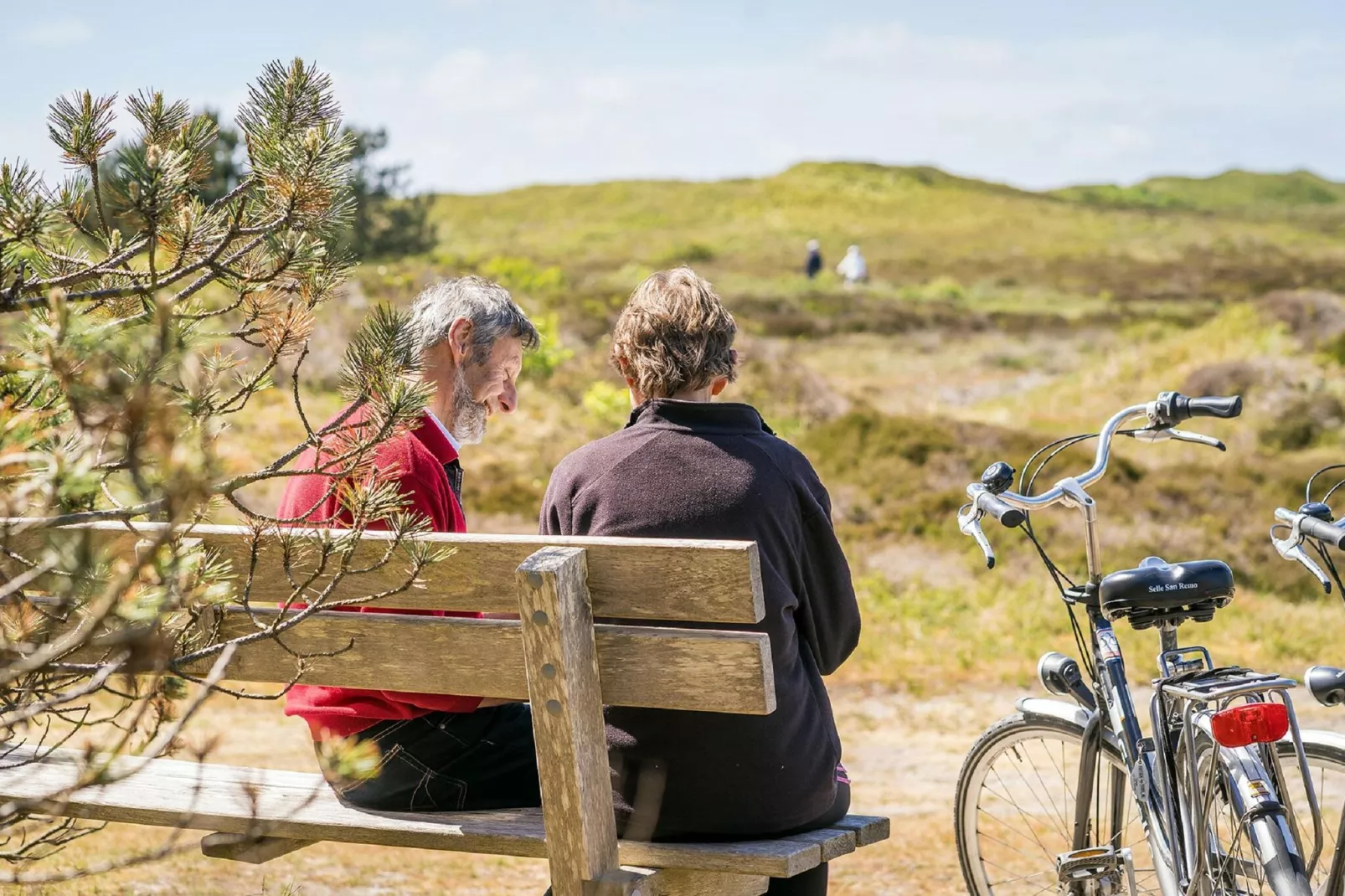 't Hoogelandt 5-Gebieden zomer 5km