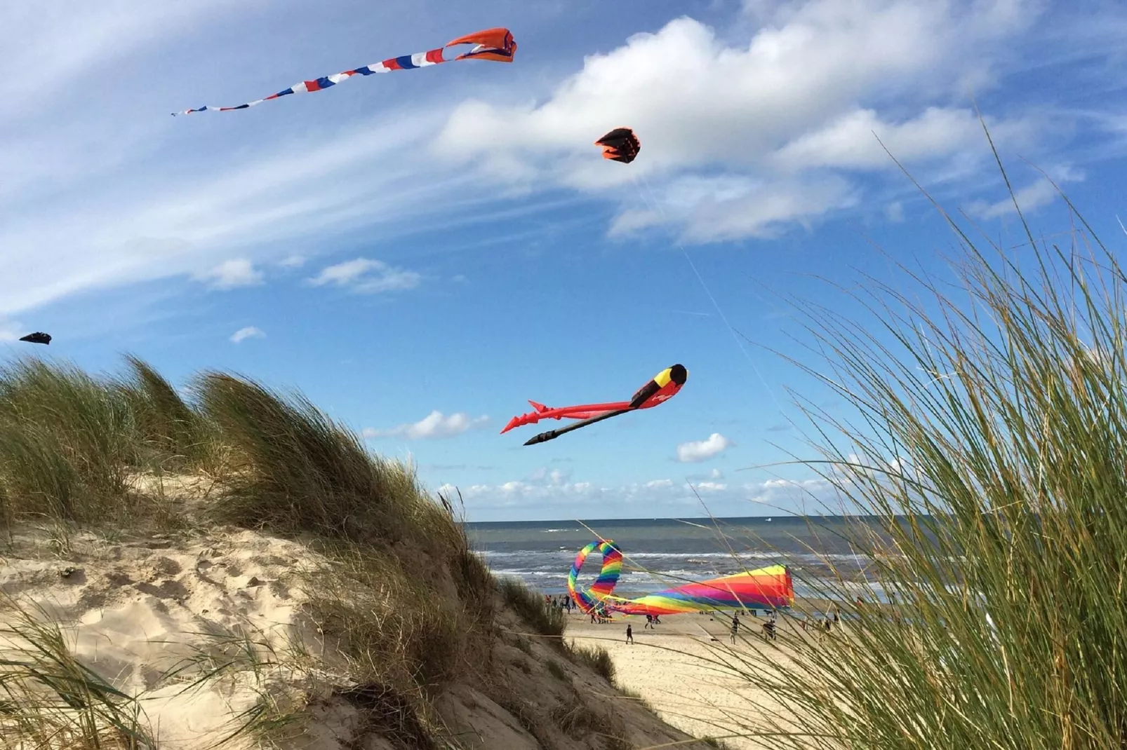 't Hoogelandt 5-Gebieden zomer 5km