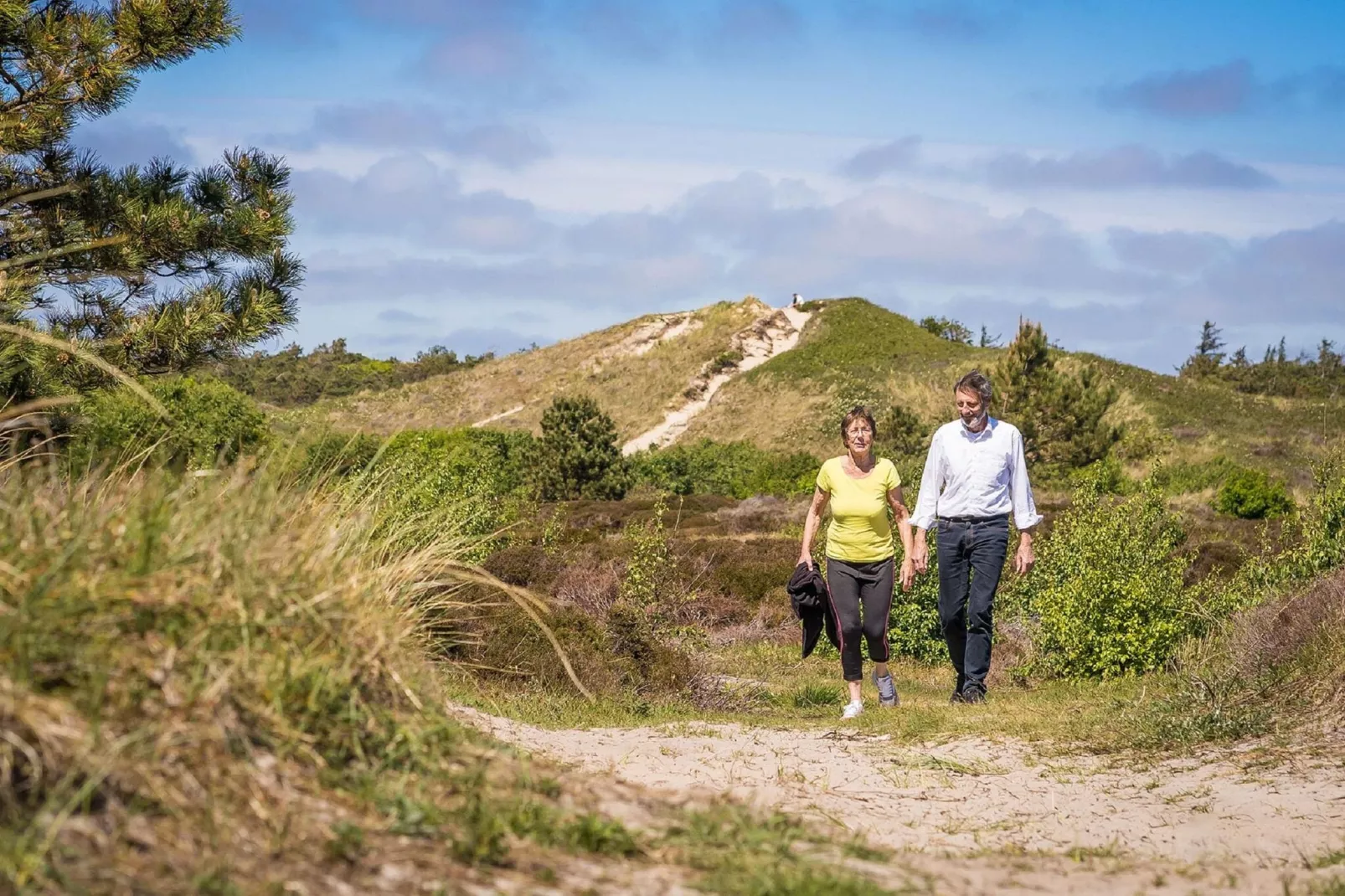 't Hoogelandt 5-Gebieden zomer 5km