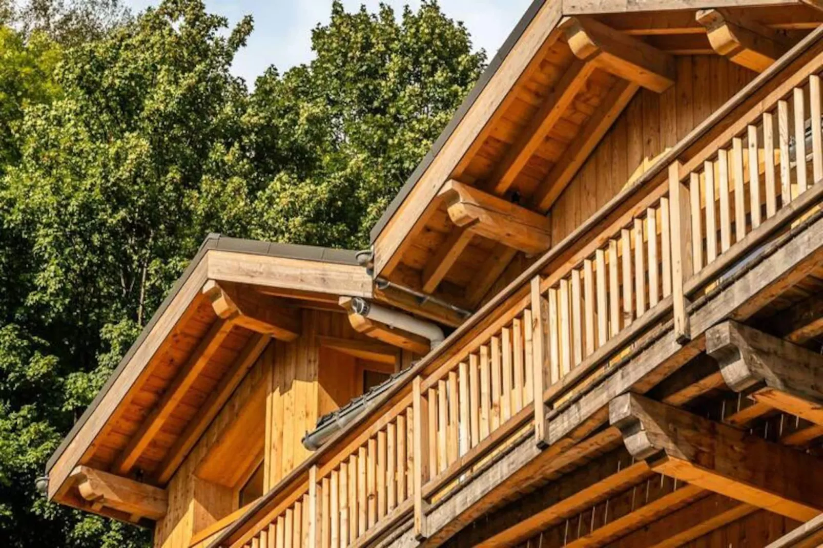 Résidence Le Palais Des Dodes-Image-tags.