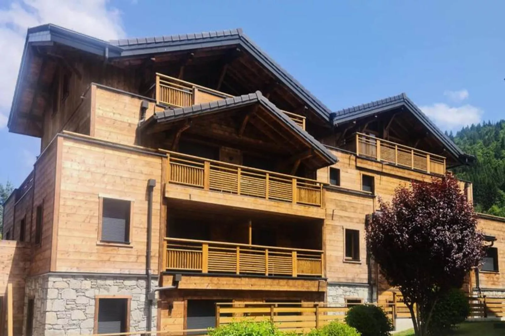 Résidence Echo Du Pleney - Buitenkant zomer