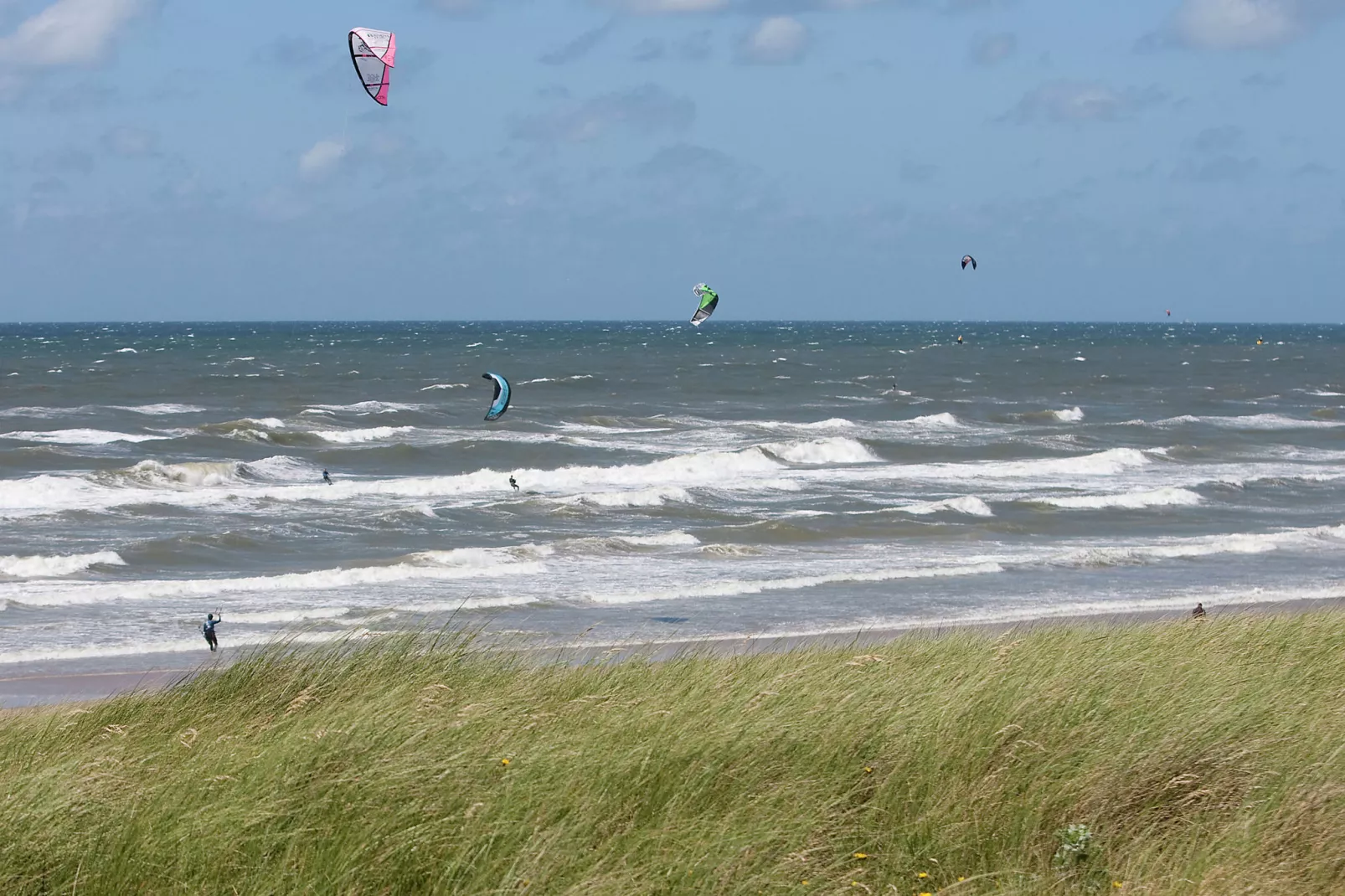 Kustpark Egmond aan Zee 1-Gebied winter 1km