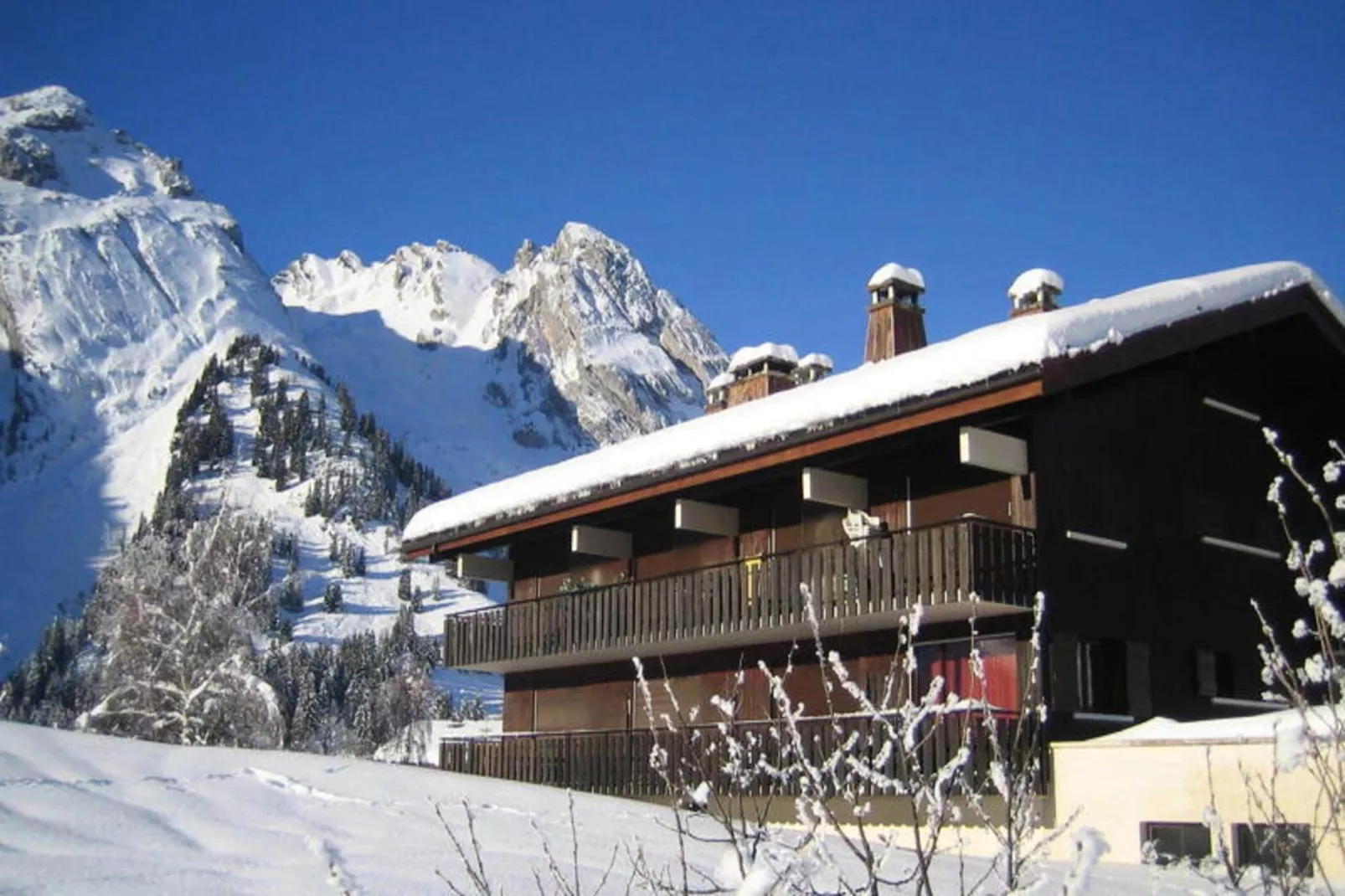 Résidence Samoyede-Exterieur winter