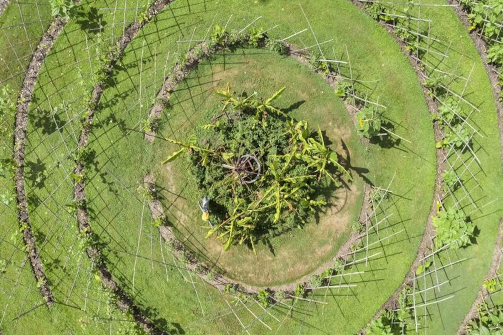 Parc de la Belle-Image-tags.