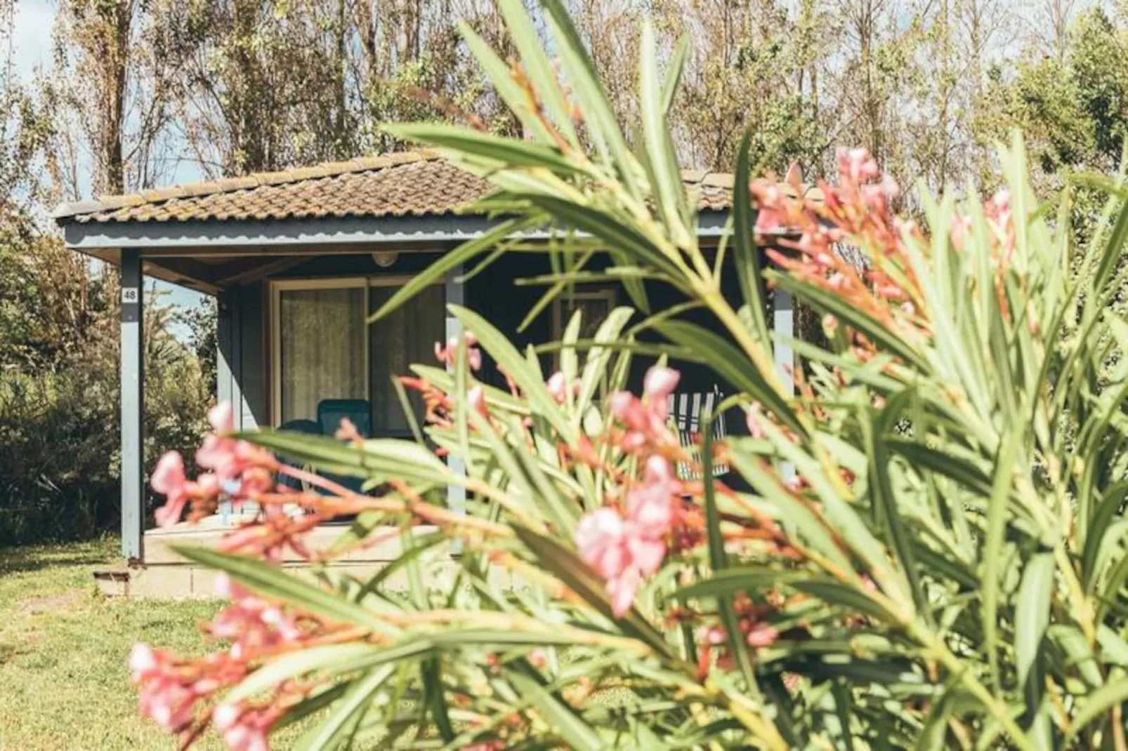 Terres de France - Hameaux des Marines **-Image-tags.