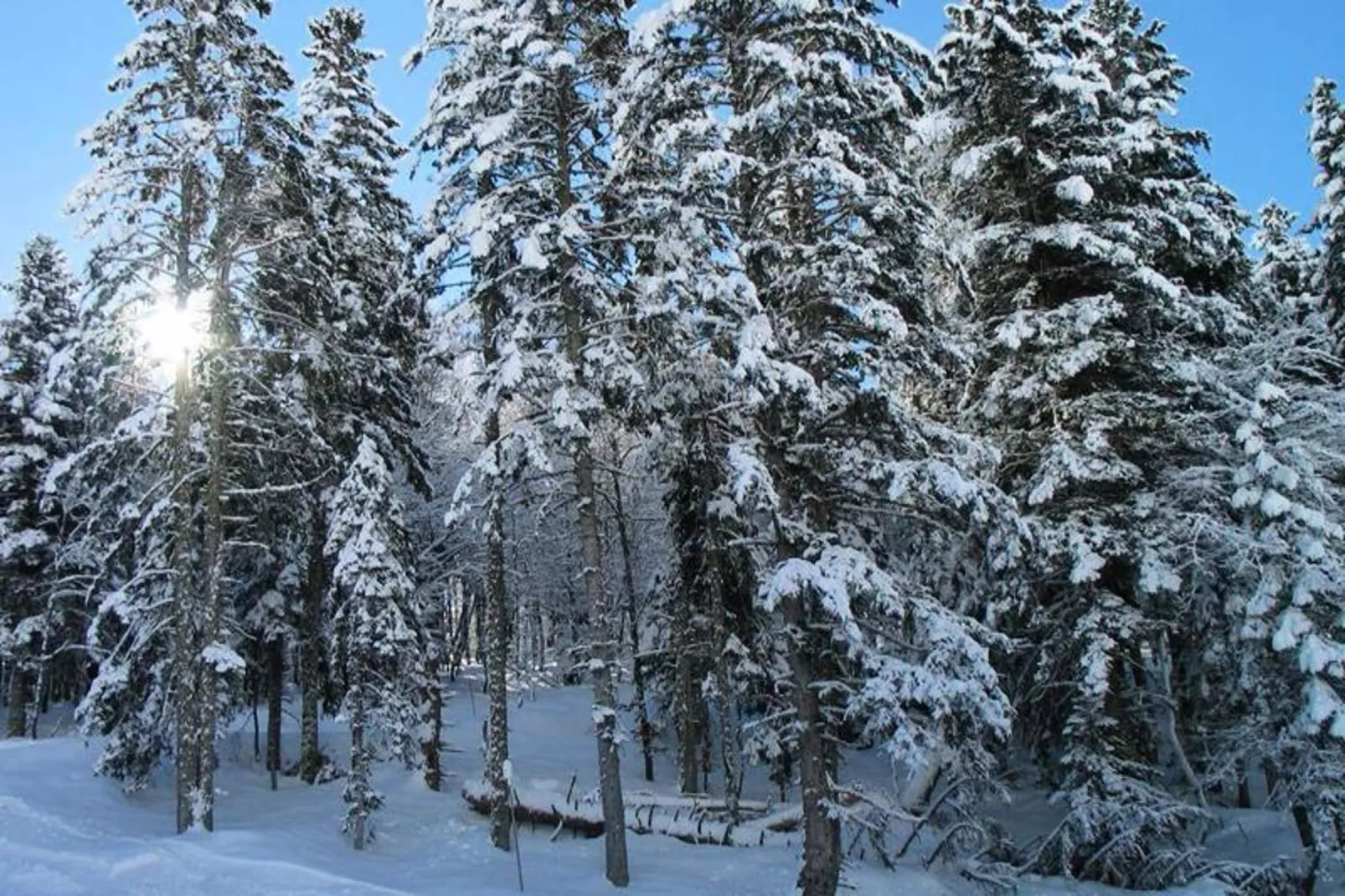 Résidence Pre De Camille-Eetkamer
