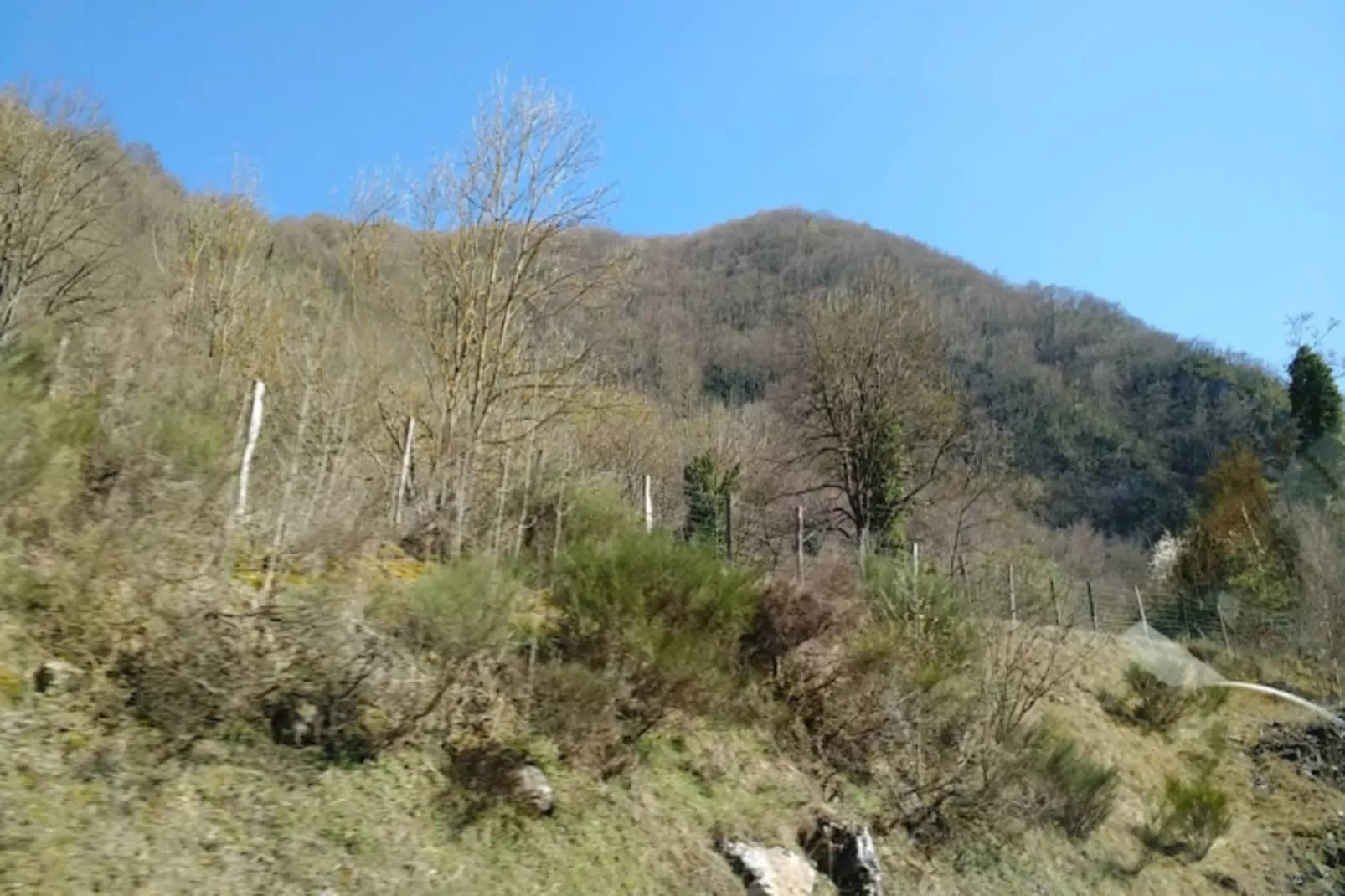 Résidence Eugenie-Gebieden zomer 1km