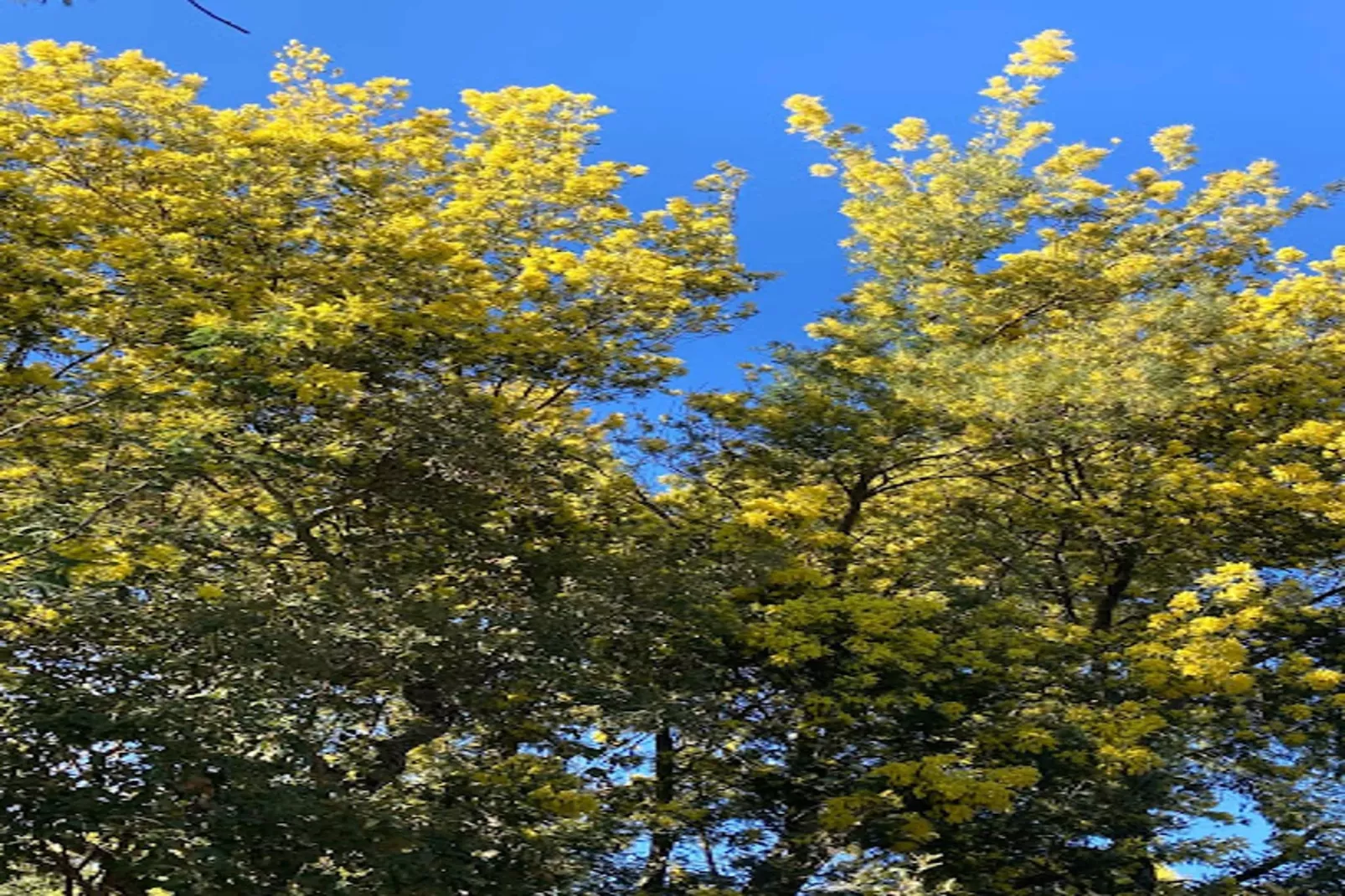 Résidence Vieille Ville-Gebieden zomer 1km